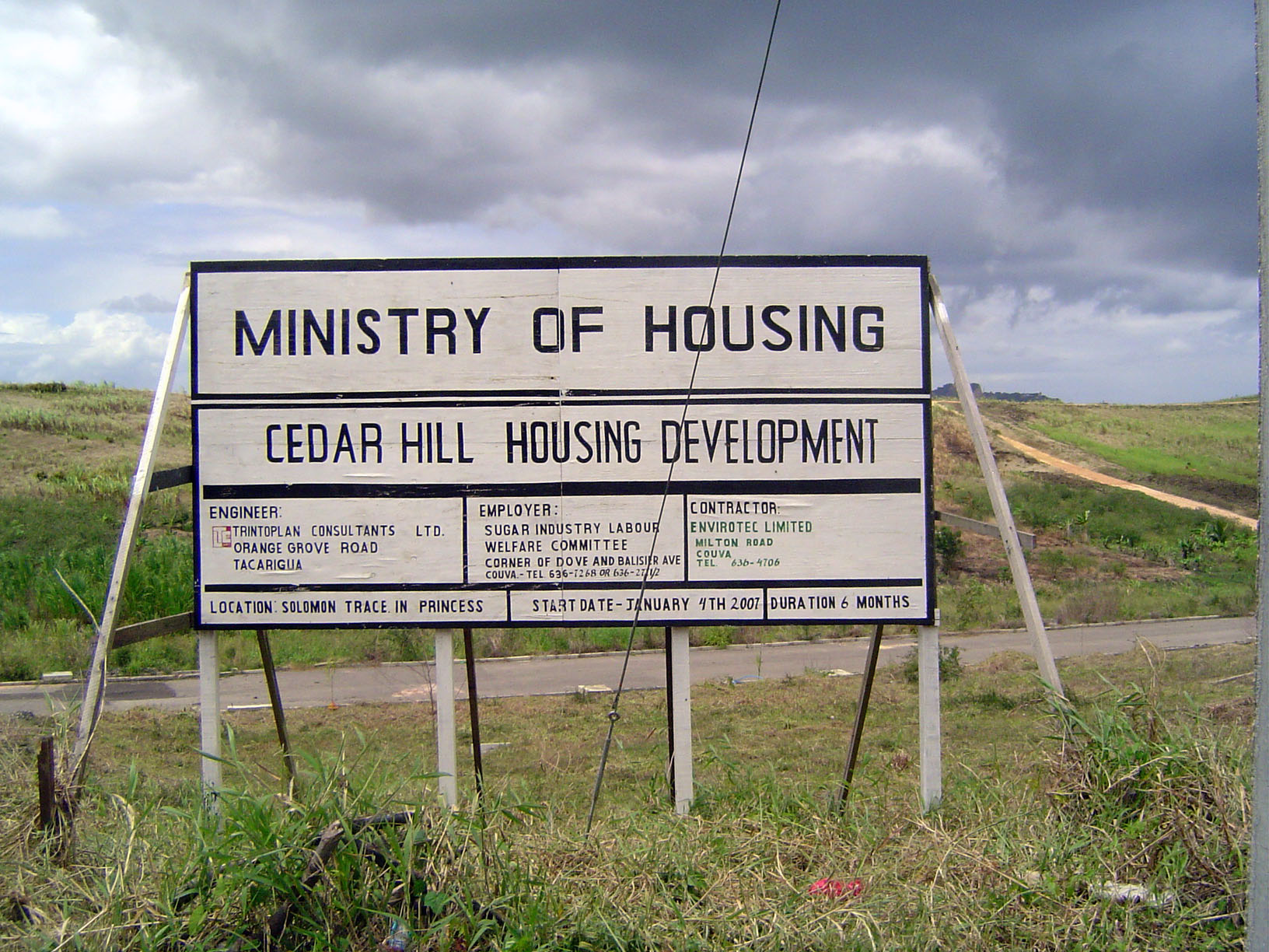 More cane fields under conversion, this time in a government program.