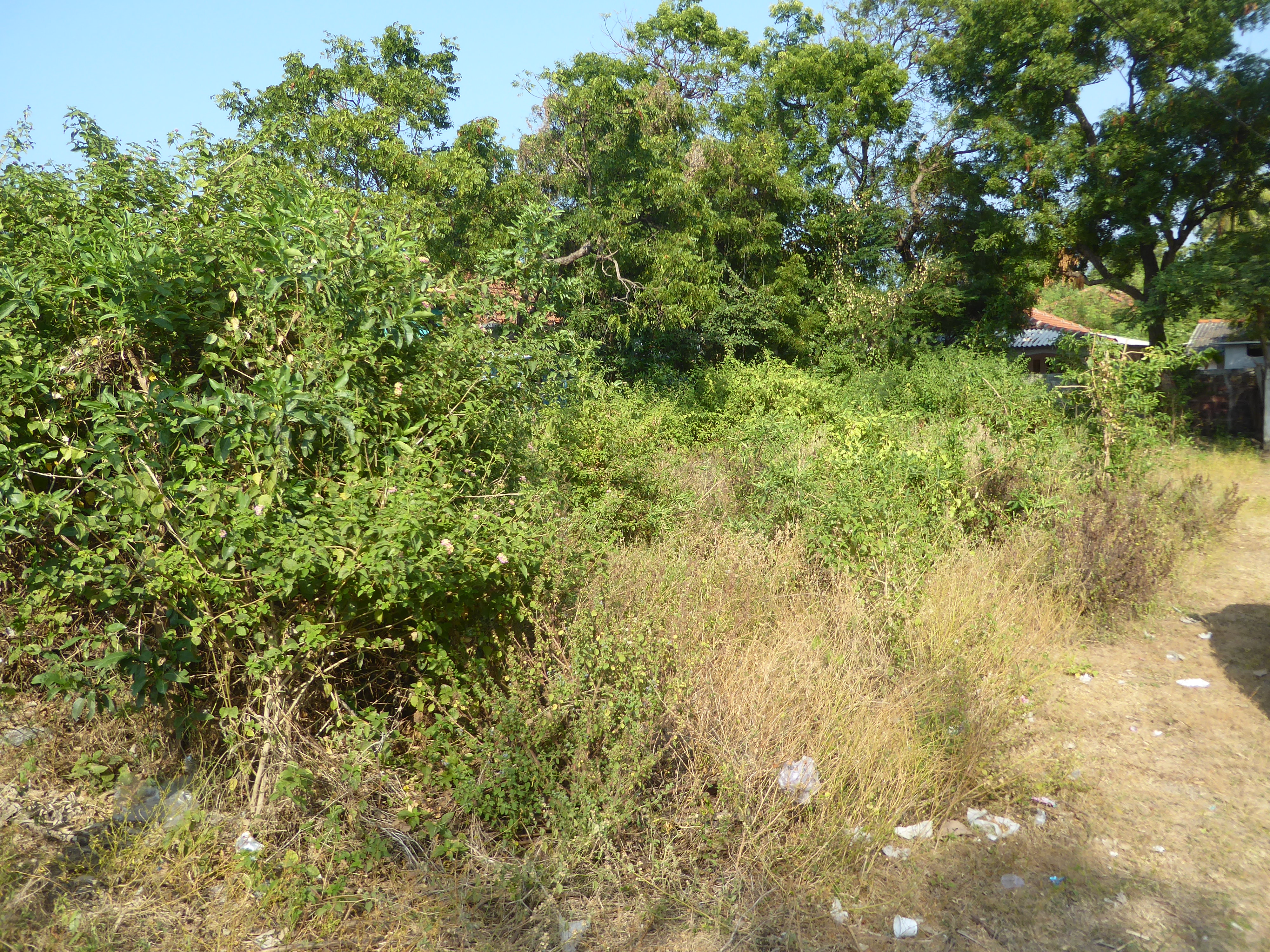 Prabakharan's family had been prosperous, but their home was obliterated and the site early in 2020 was overgrown.