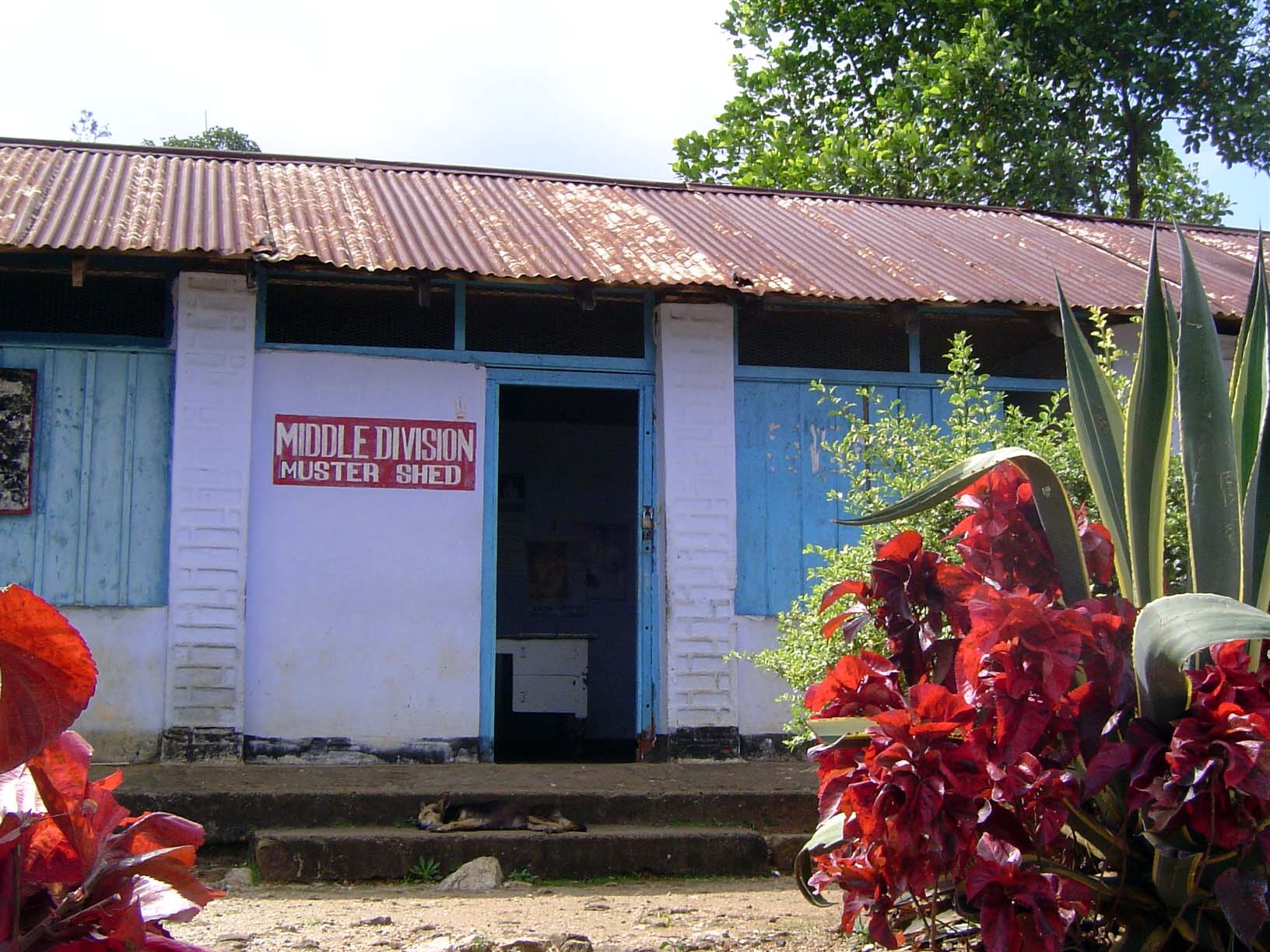 Next door: plantation worksheds.