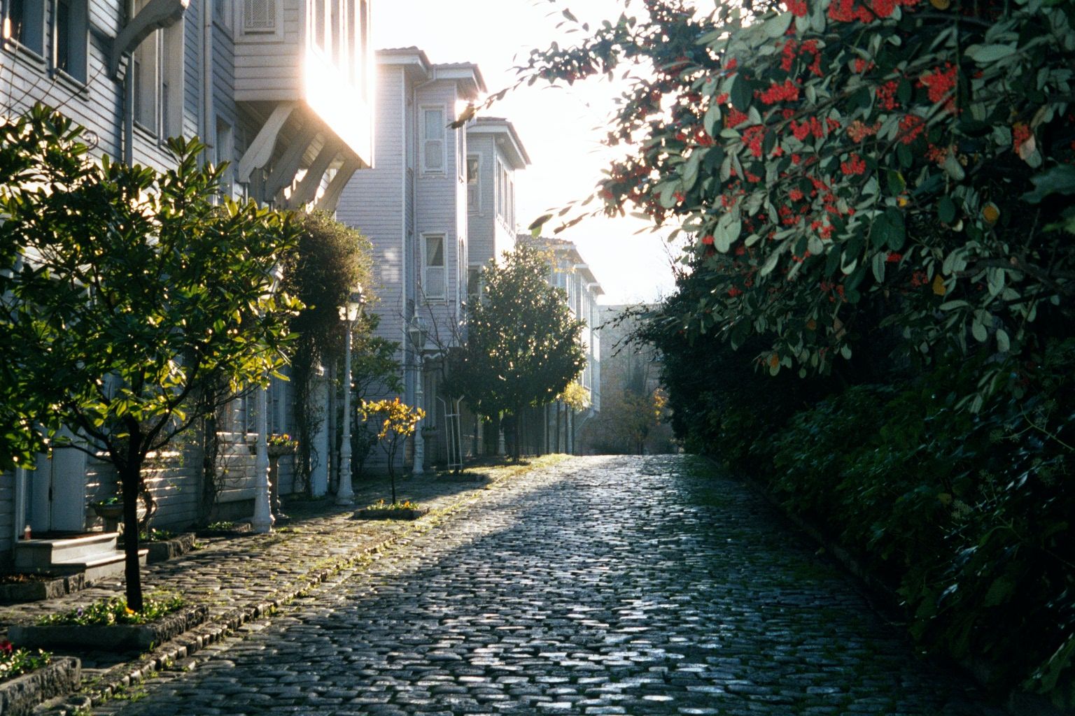 Sogukcesme Sokak, the Street of the Cold Fountain, between the walls of the Topkapi Palace and the Aya Sofya. It's an amazingly peaceful str