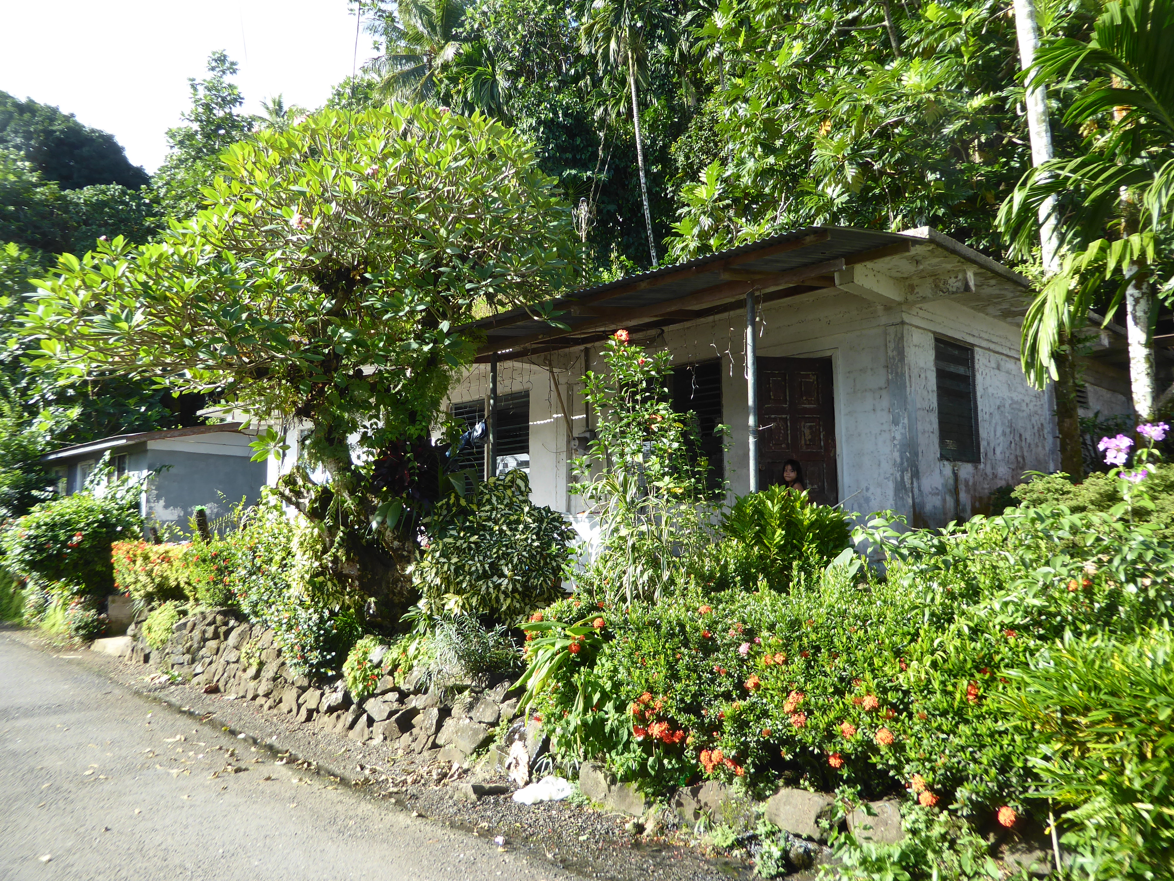 Roadside houses on Sokehs Island.