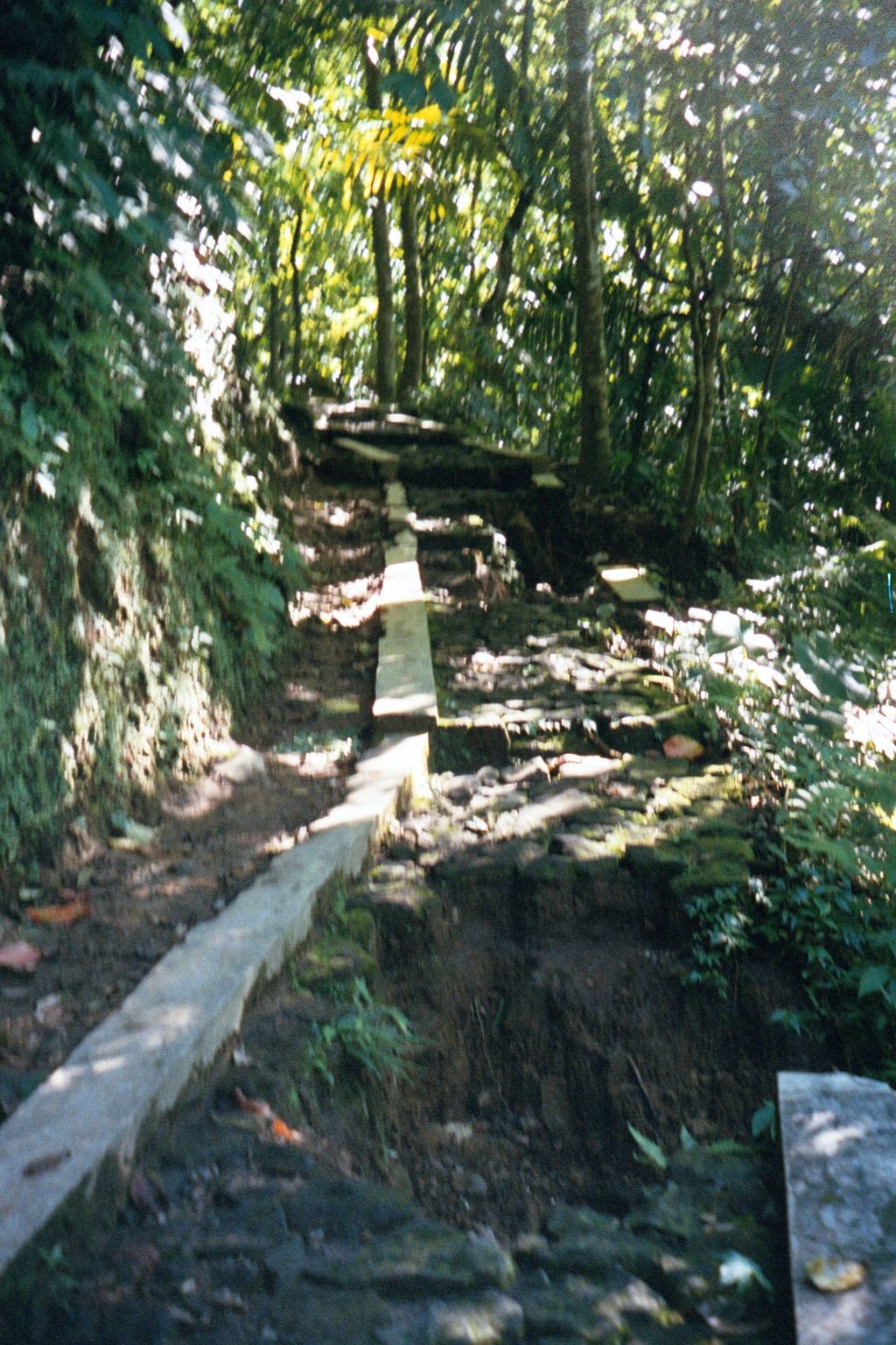 They thin and show signs of rainy-season erosion. Curiously, the paths don't lead to the summit: for that, the approach is from the north si