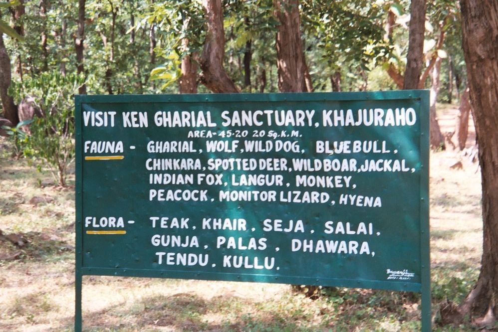 Downstream, the river slows into a broader stream famous for Indian crocodiles.