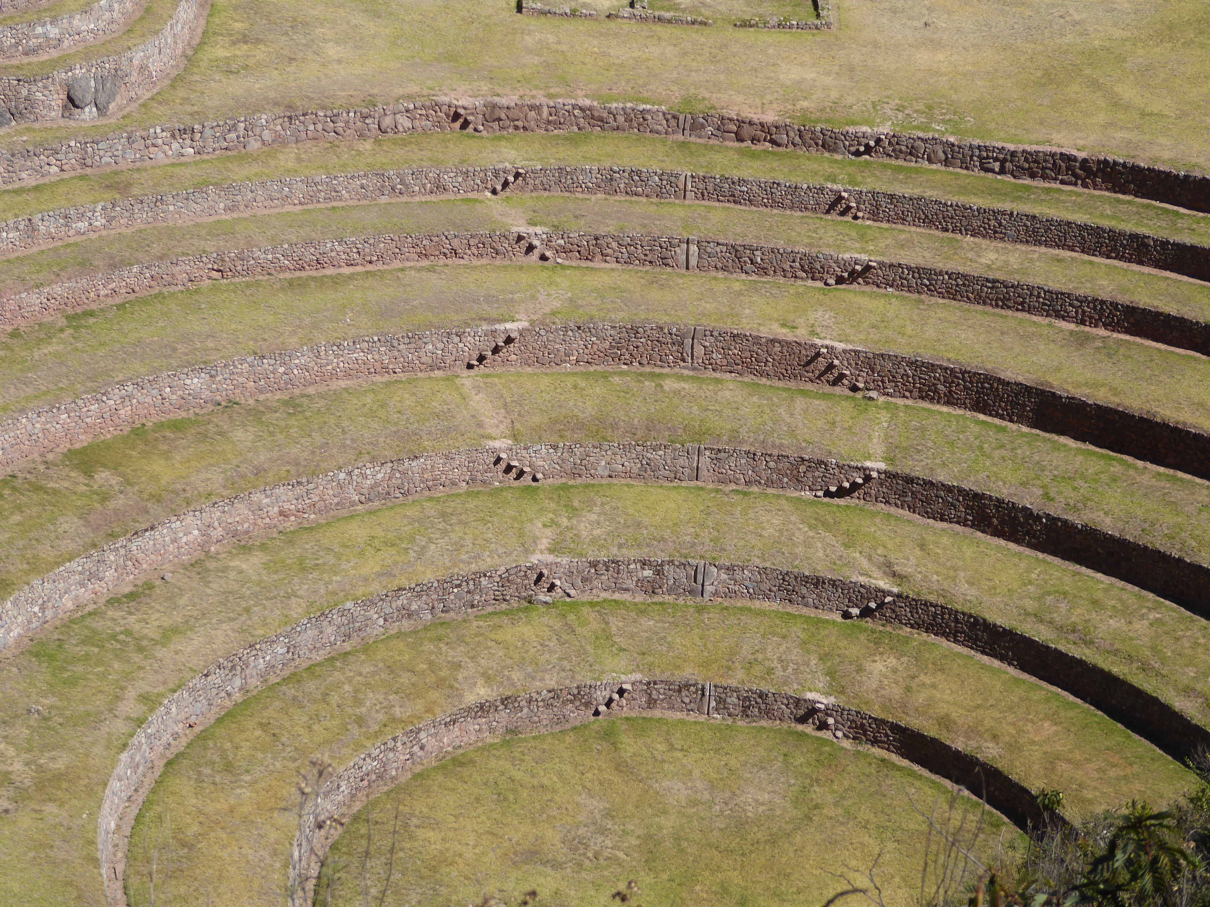 Between the elegant flying steps there's a series of irrigation drops, or paqcha. Where did the surplus irrigation water go? Silly question: