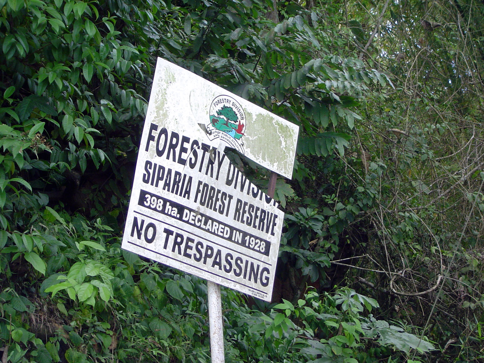 Trinidad's first Forest Officer was appointed in 1901. A decade later, 266 square miles of forest reserve had been demarcated.