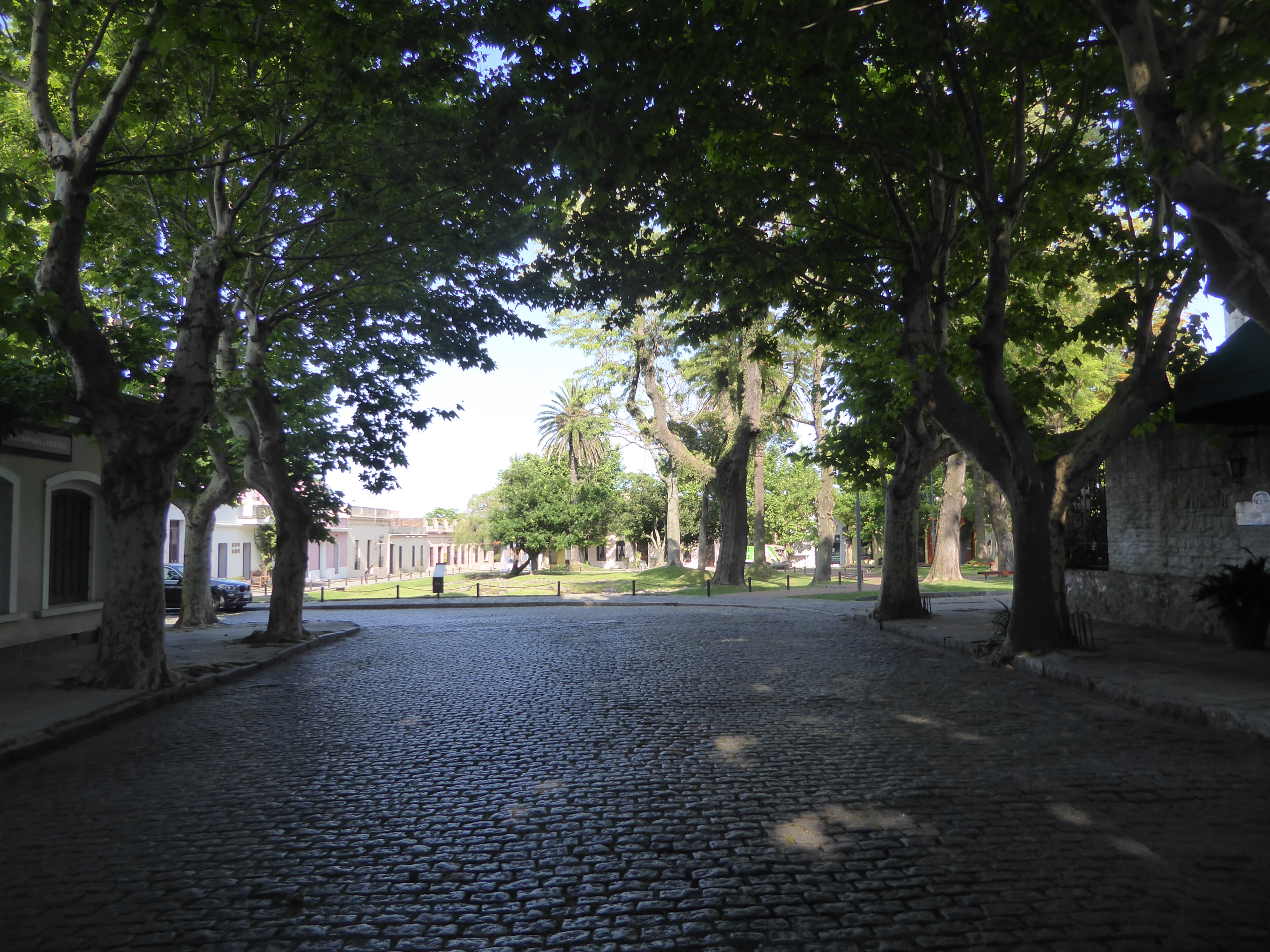 Once through the gate, you're almost at the Plaza de Armas and the old governor's palace. The sycamores are magnificent, though so messy tha