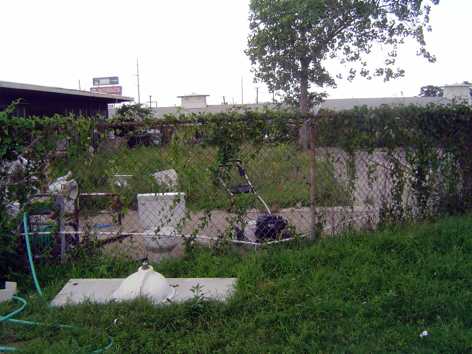 The swimming pool has been filled in and is now overgrown.