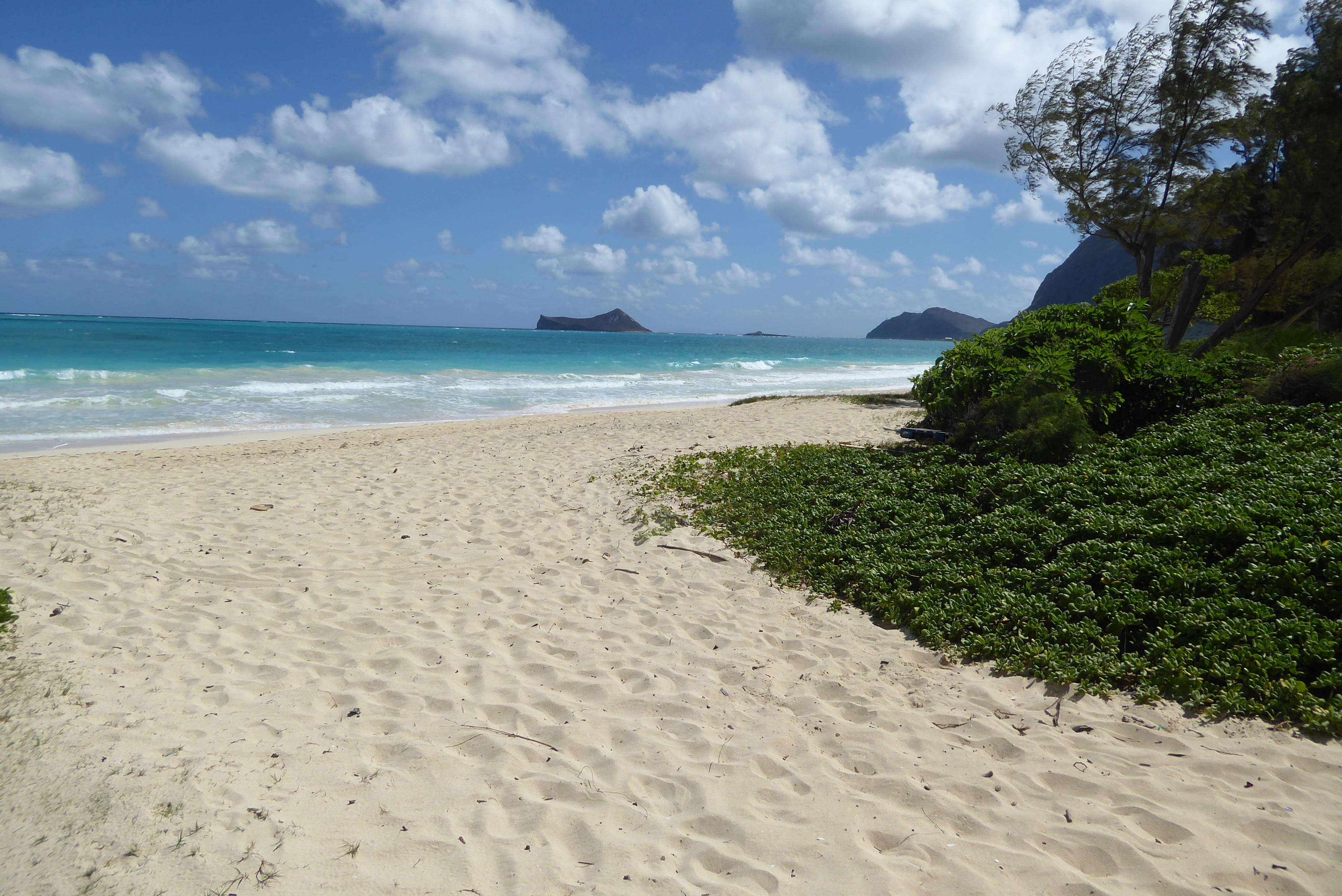 Free for anyone who happens by. In the distance is Manana or Rabbit Island, a tuff cone.
