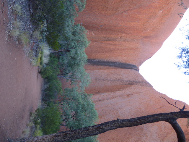 Here's one of the two permanent waterholes at the rock.