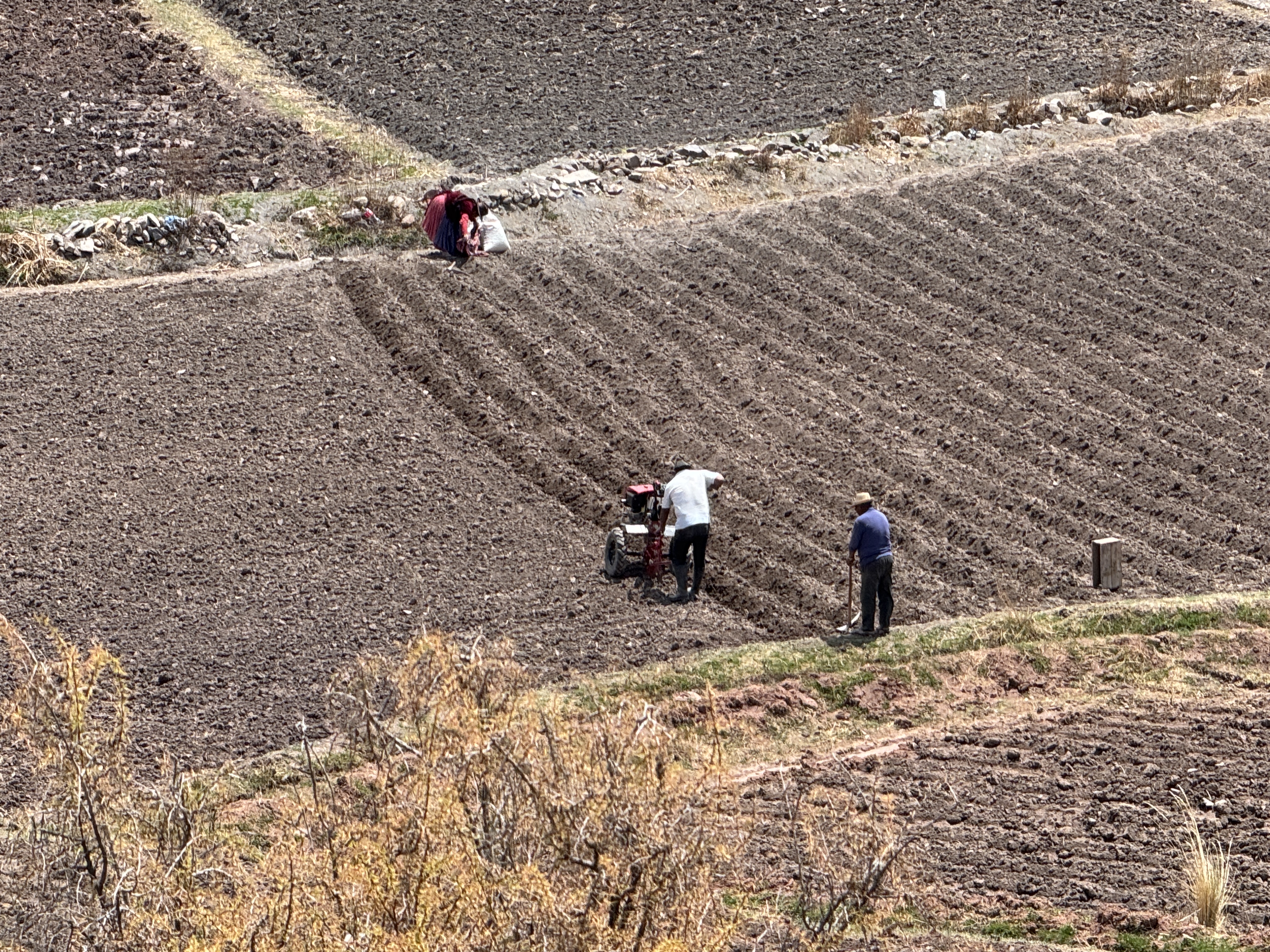 The land today is still worked, though not on the hillsides and largely with machinery.