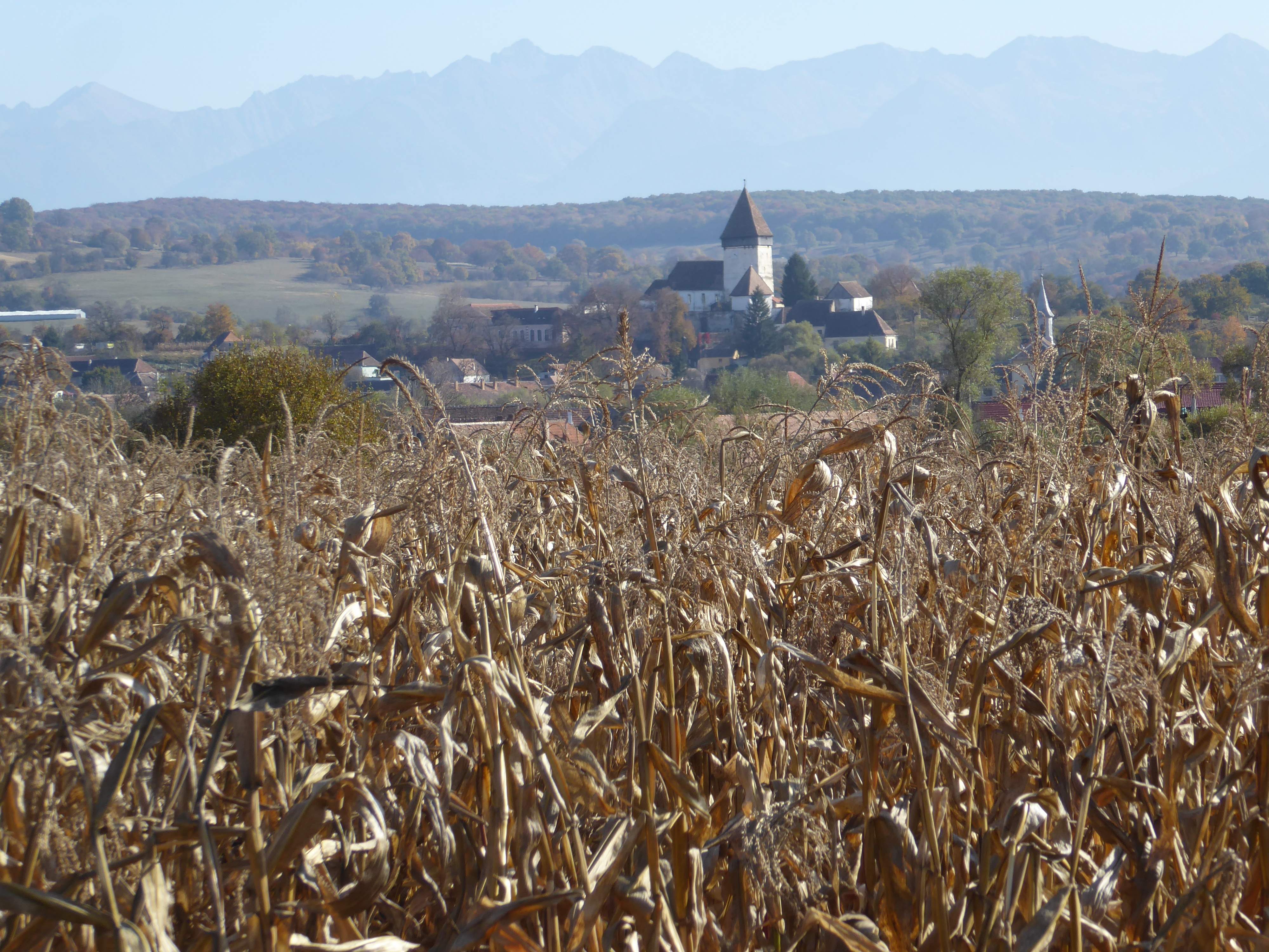 Say we head south into the Transylvanian Alps, seen here from Hosman, east of Sibiu.