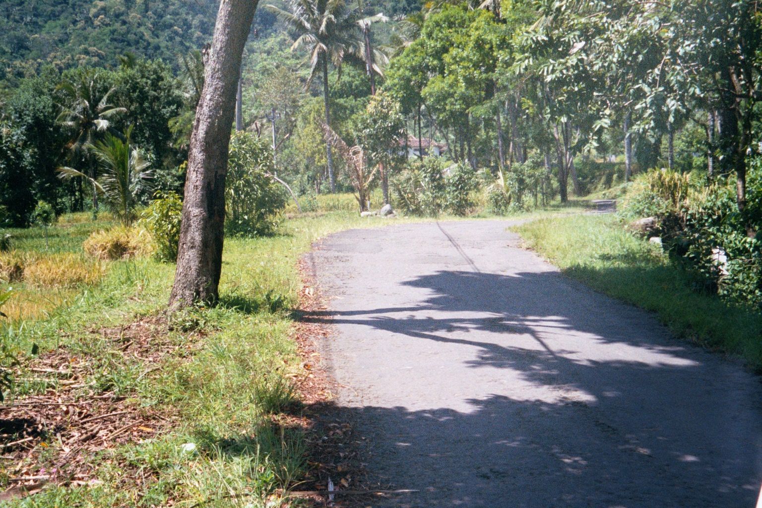 So long as the land is flat, there's a road; once we're in the hills we'll be on a trail.