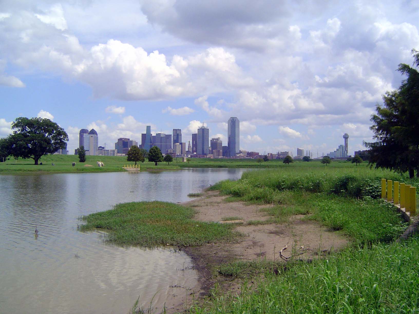 The downtown skyline from a pond in the floodplain of the Trinity. One of two confining dikes can be seen stretching behind the tree at the