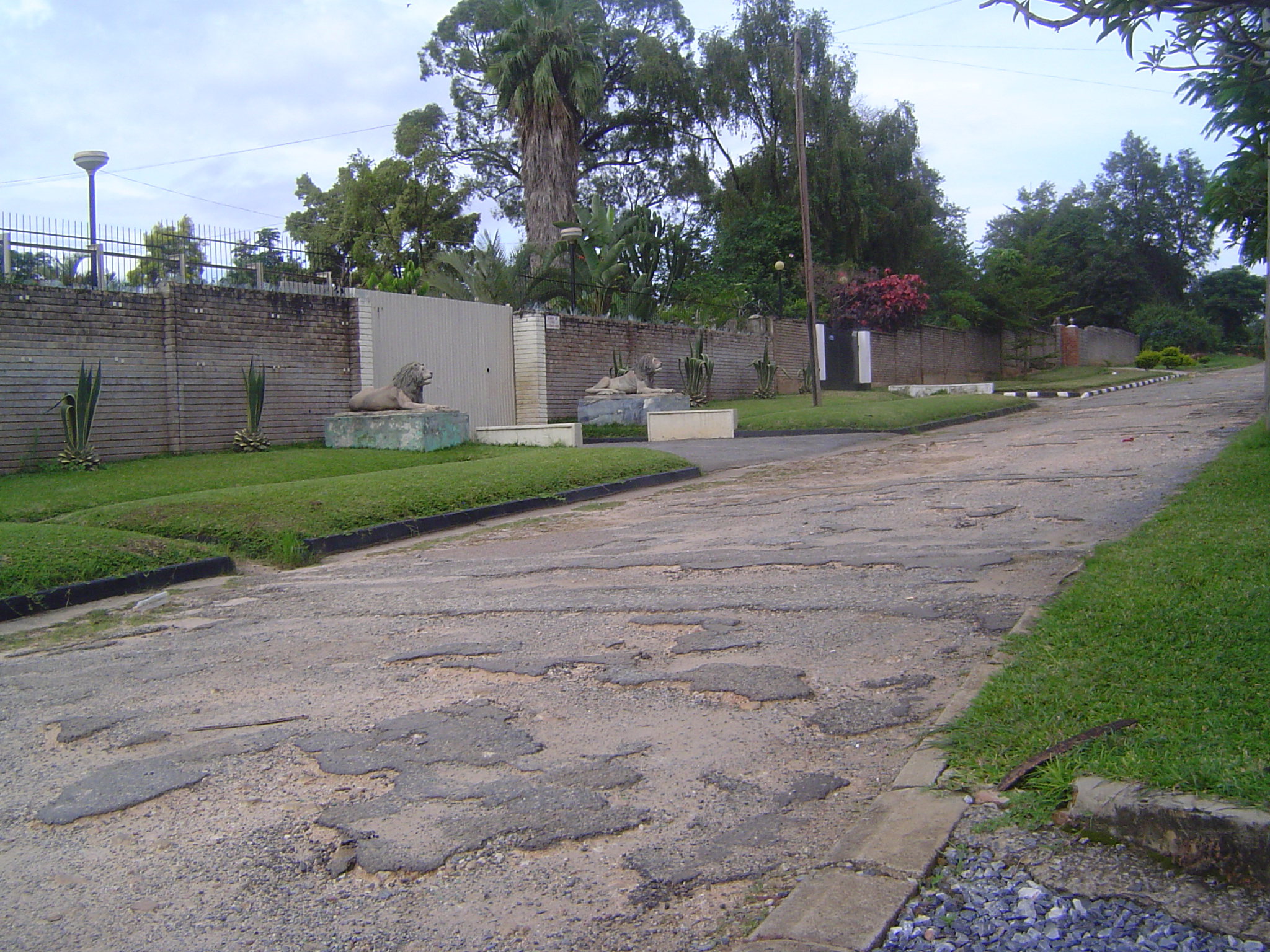 A pair of lions try not to notice the pitiful street.