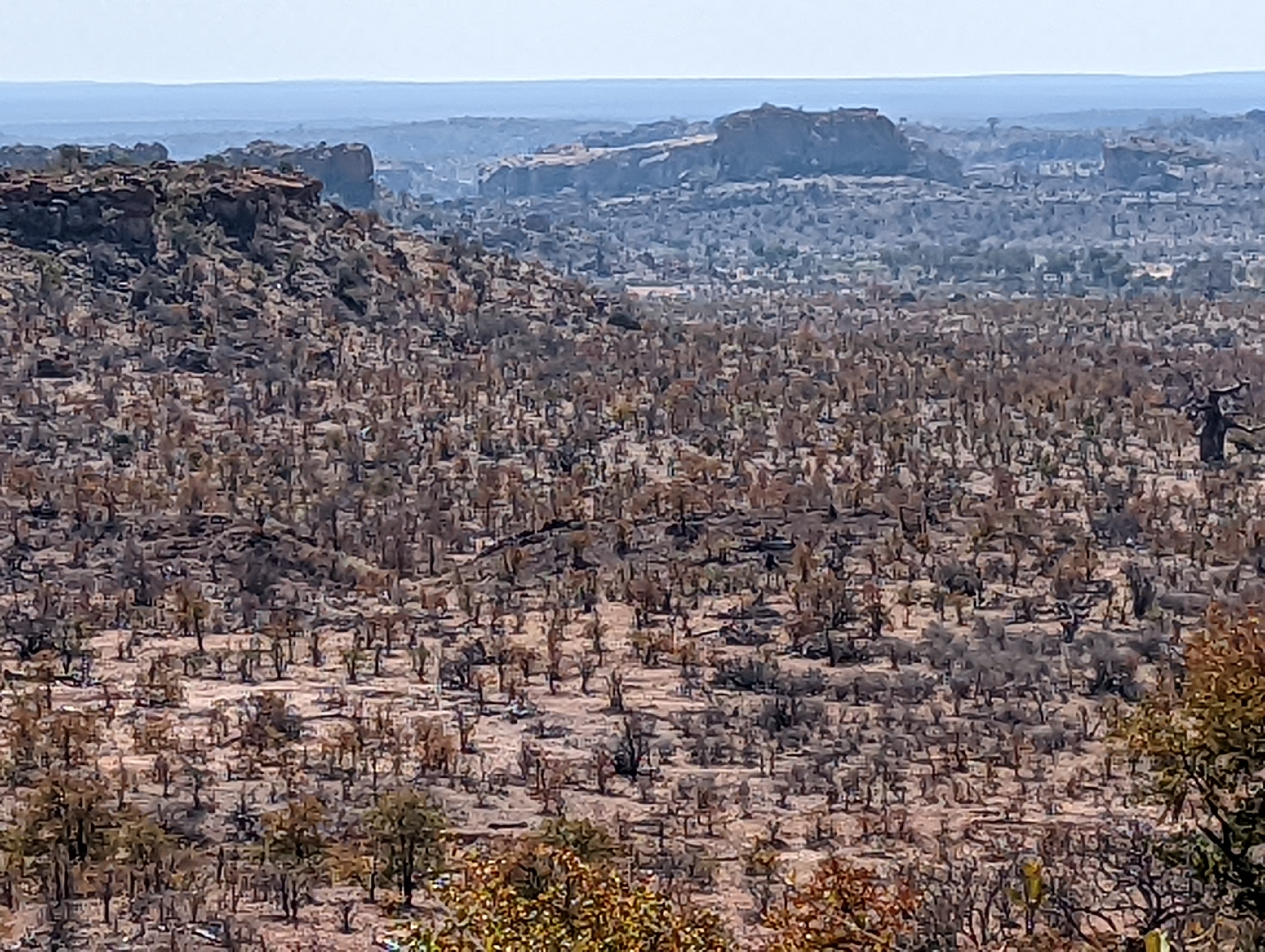 We've gone those 80 miles and now are close to the Limpopo, which is the border for a while between South Africa and Botswana and then, down