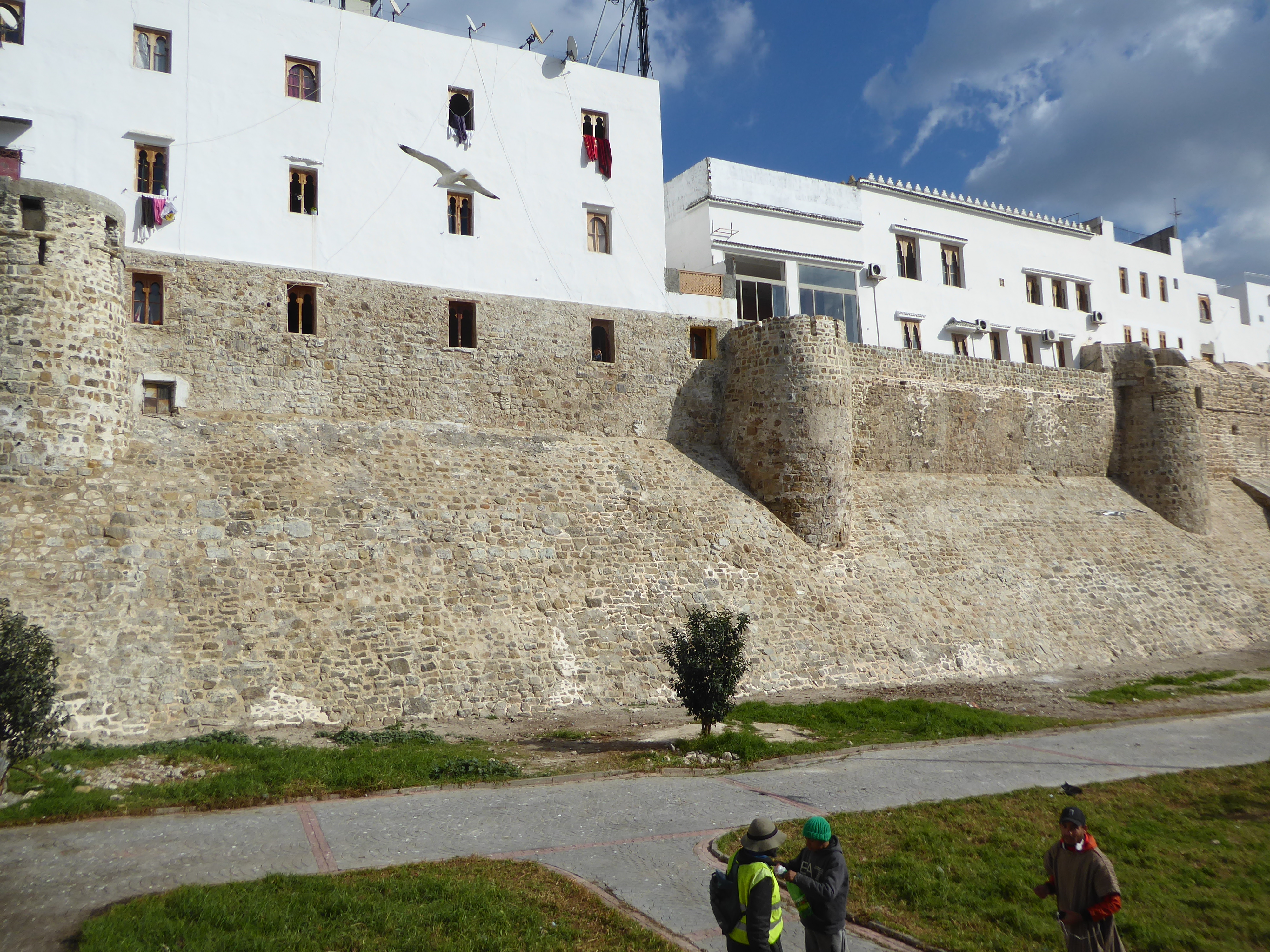 Here's a bit of the wall in fine shape, though no longer one accustomed to putting up much of a fight.