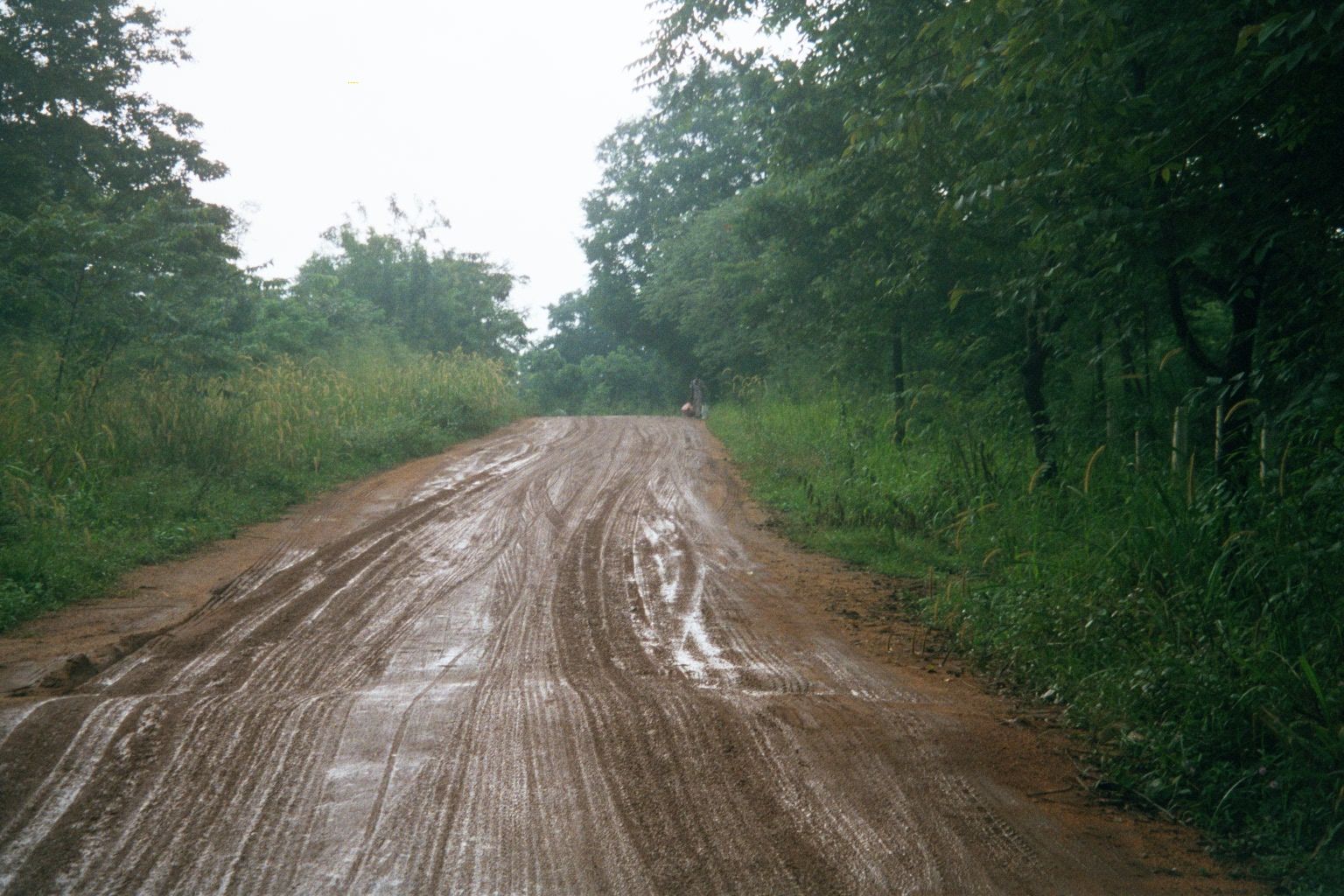 Two hours north of Kandy: the main Sigiriya approach road on Christmas Day, 2000.