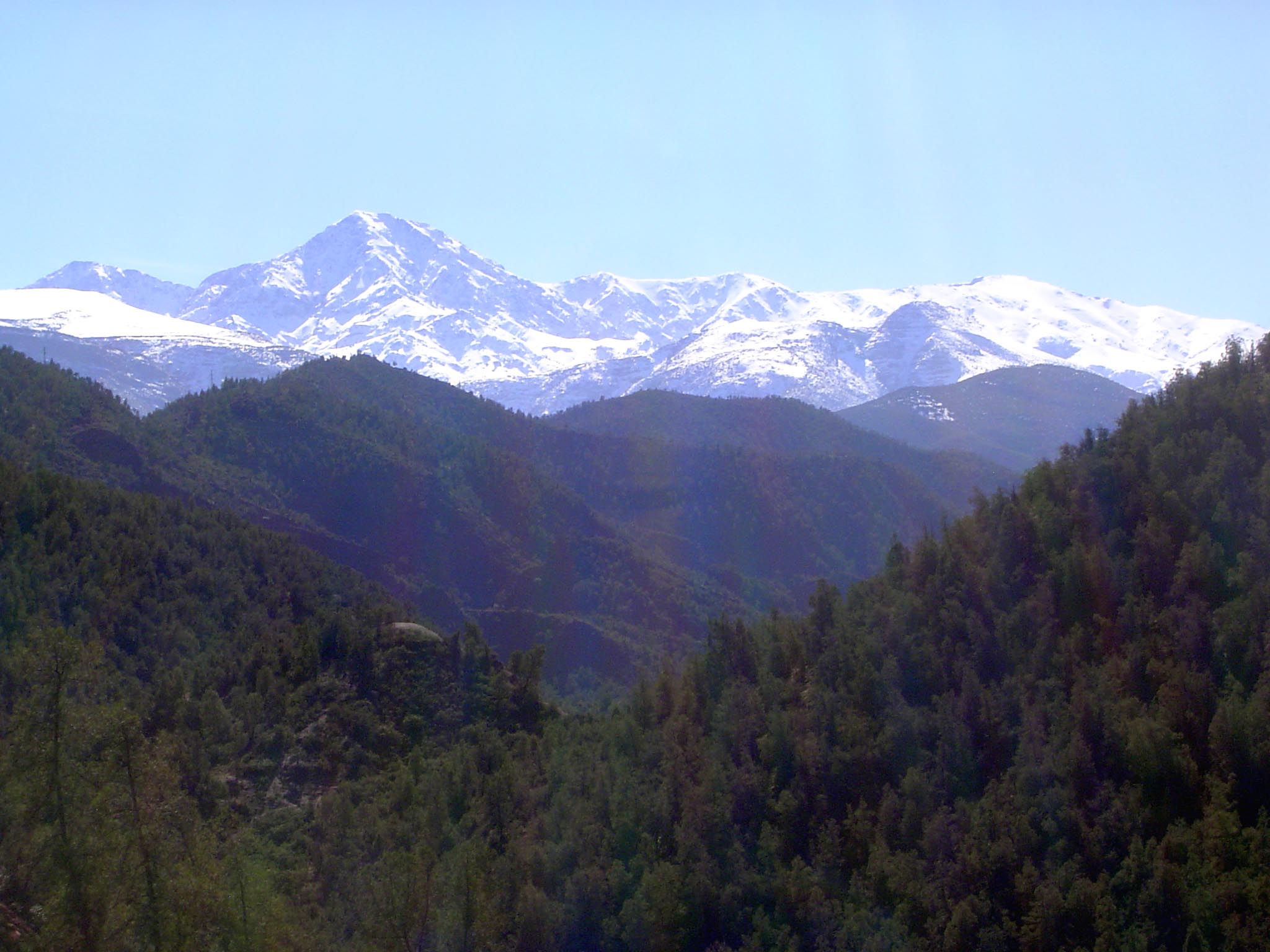 Higher in the mountains.