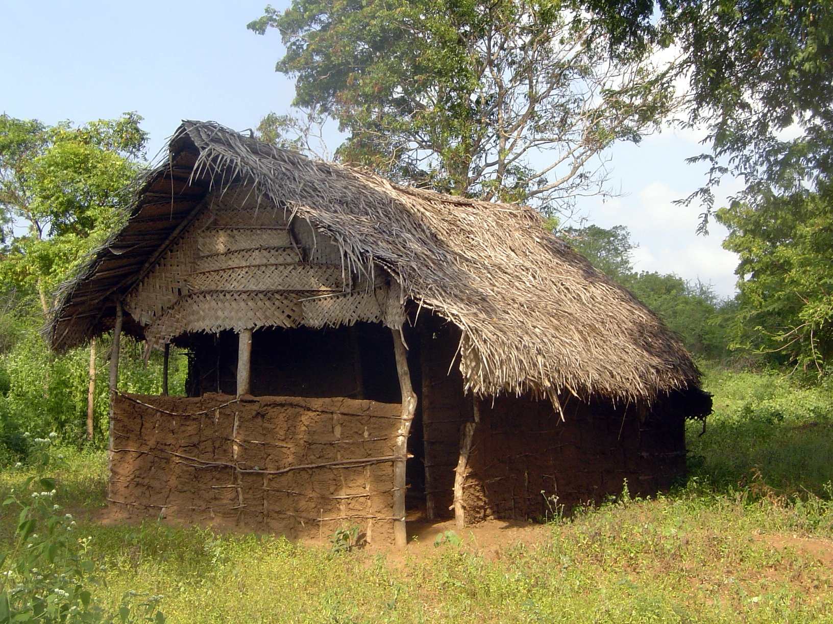 The house is traditional mud-and-wattle.