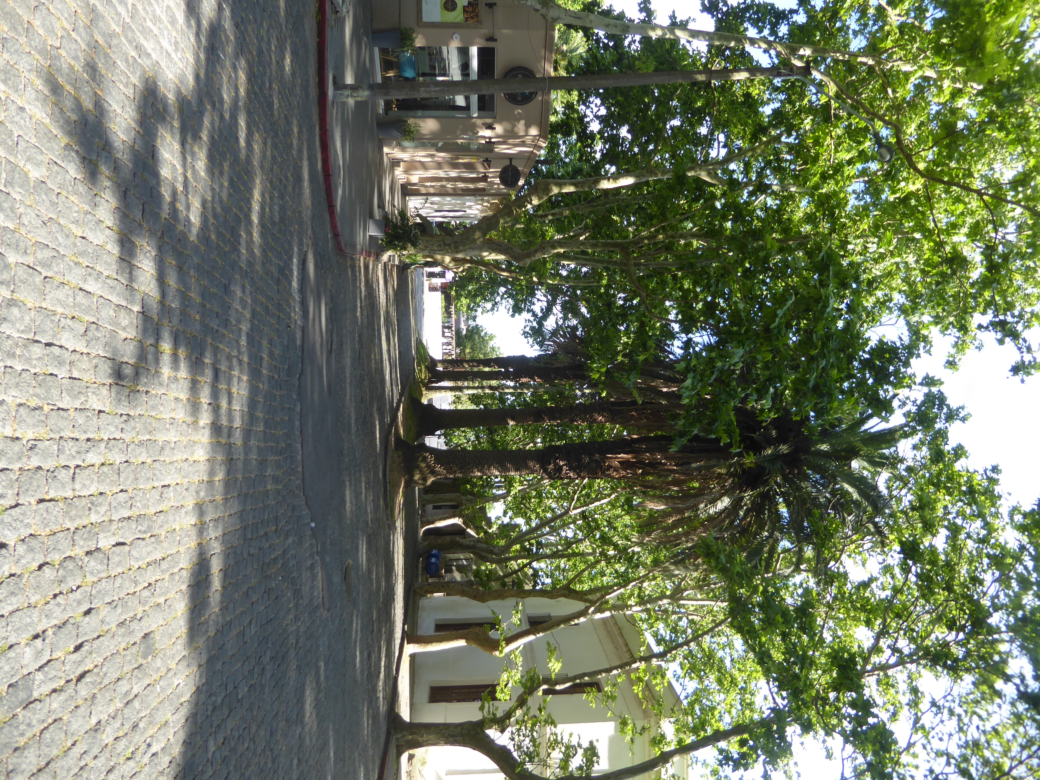 A one-block boulevard.