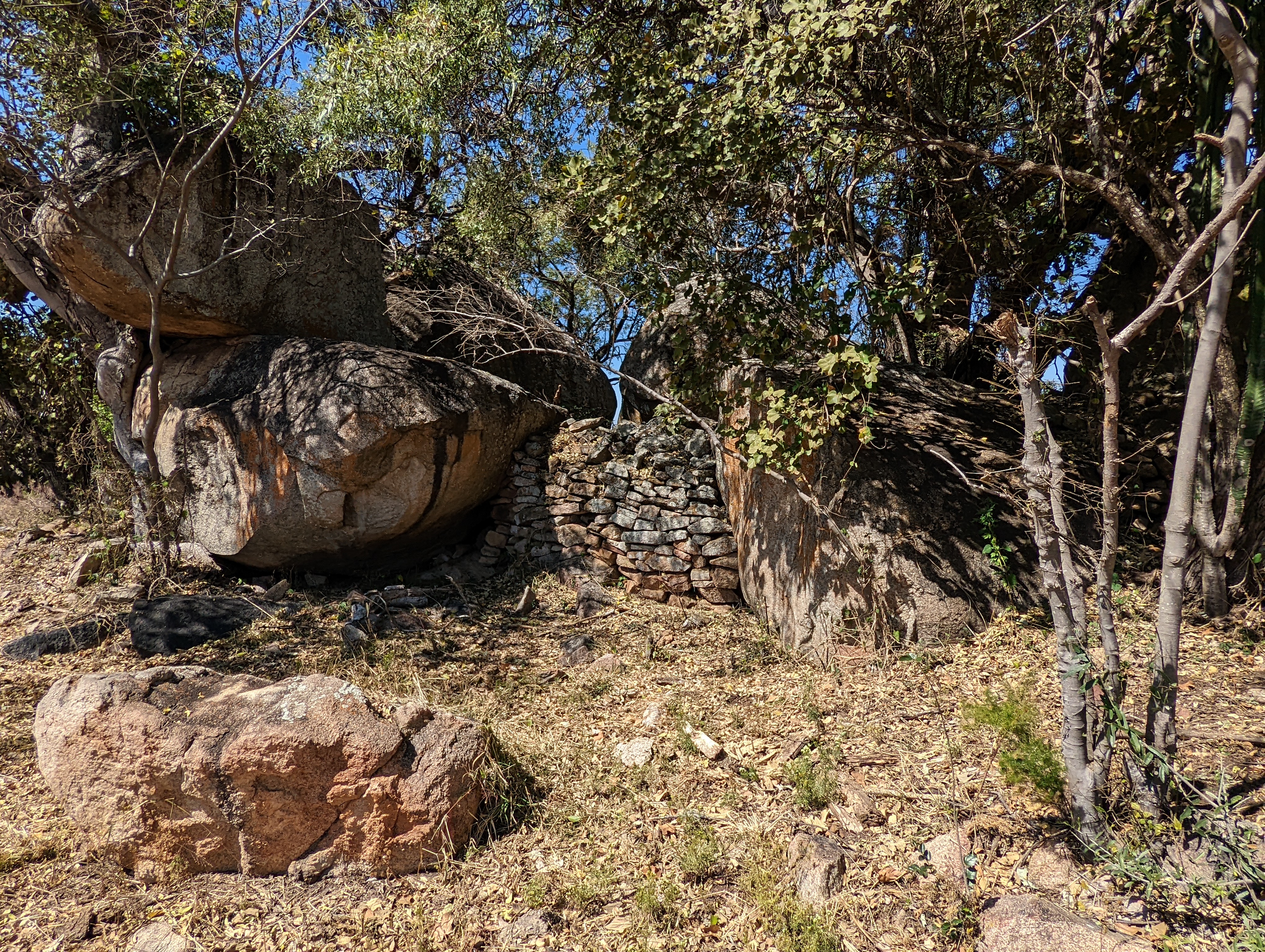They surround a cluster of boulders between which a wall has been built.