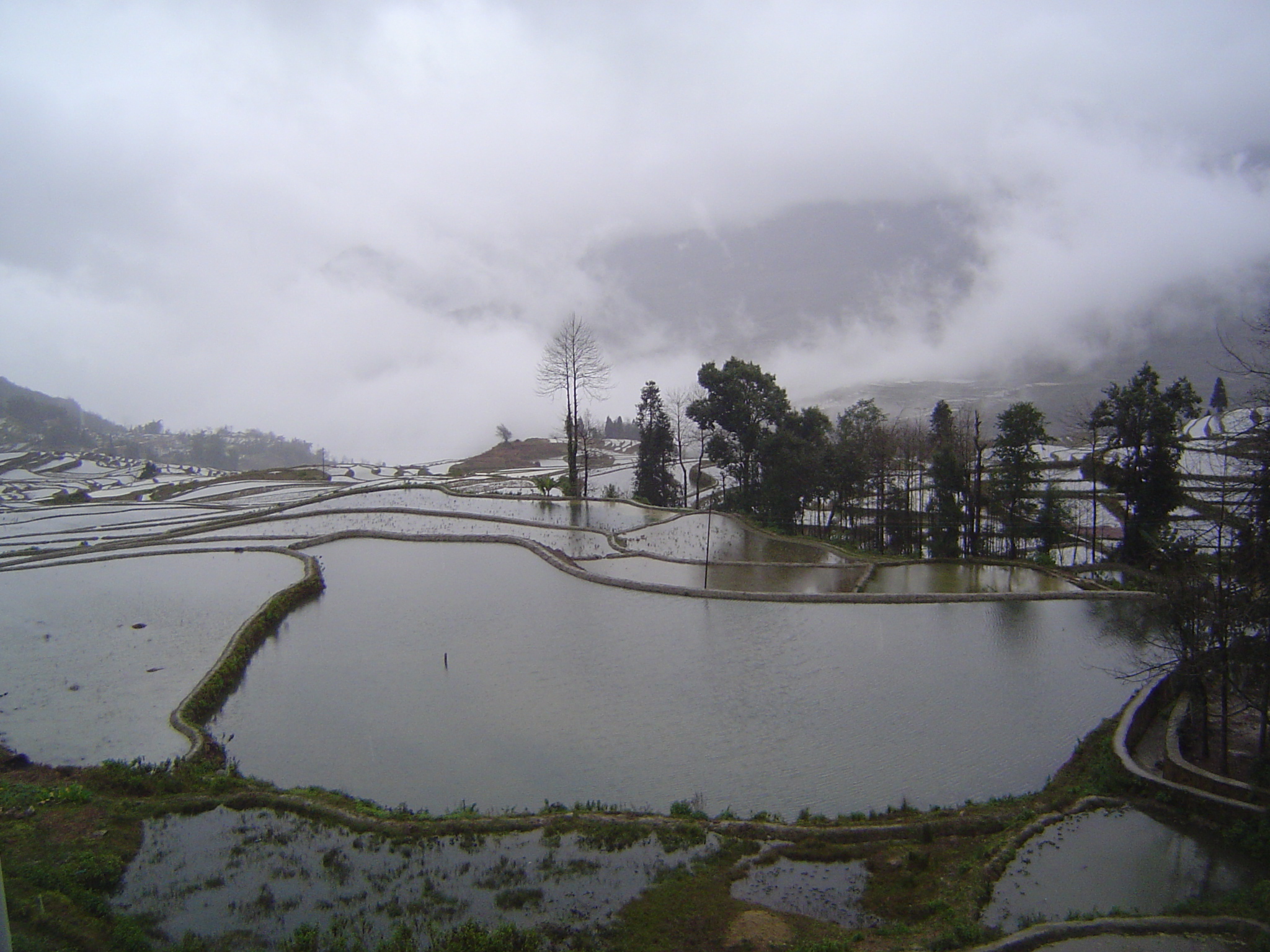 From the lower edge of the village, the terraces cascade down into the clouds.