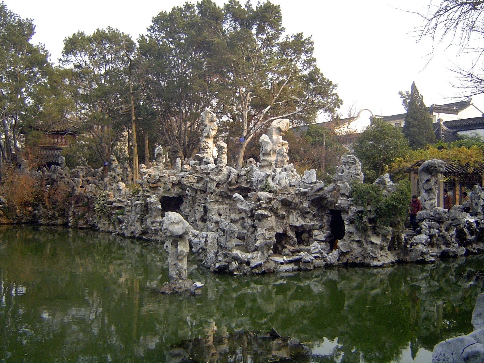 Rock and pond juxtaposed.