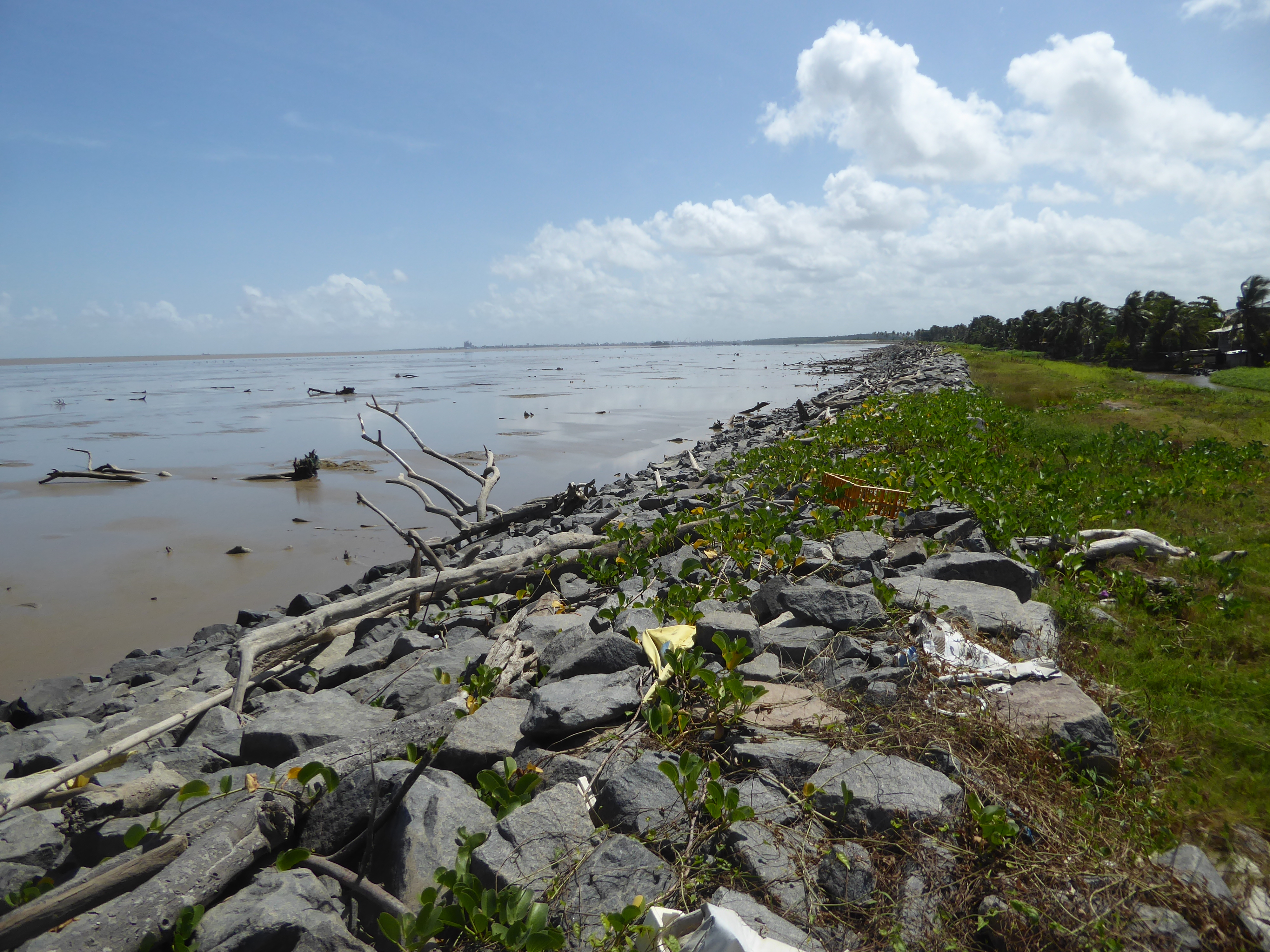 We're about 10 miles north of the mouth of the Demerara; you can see a building there in the distance: it's a Marriott hotel. This image is