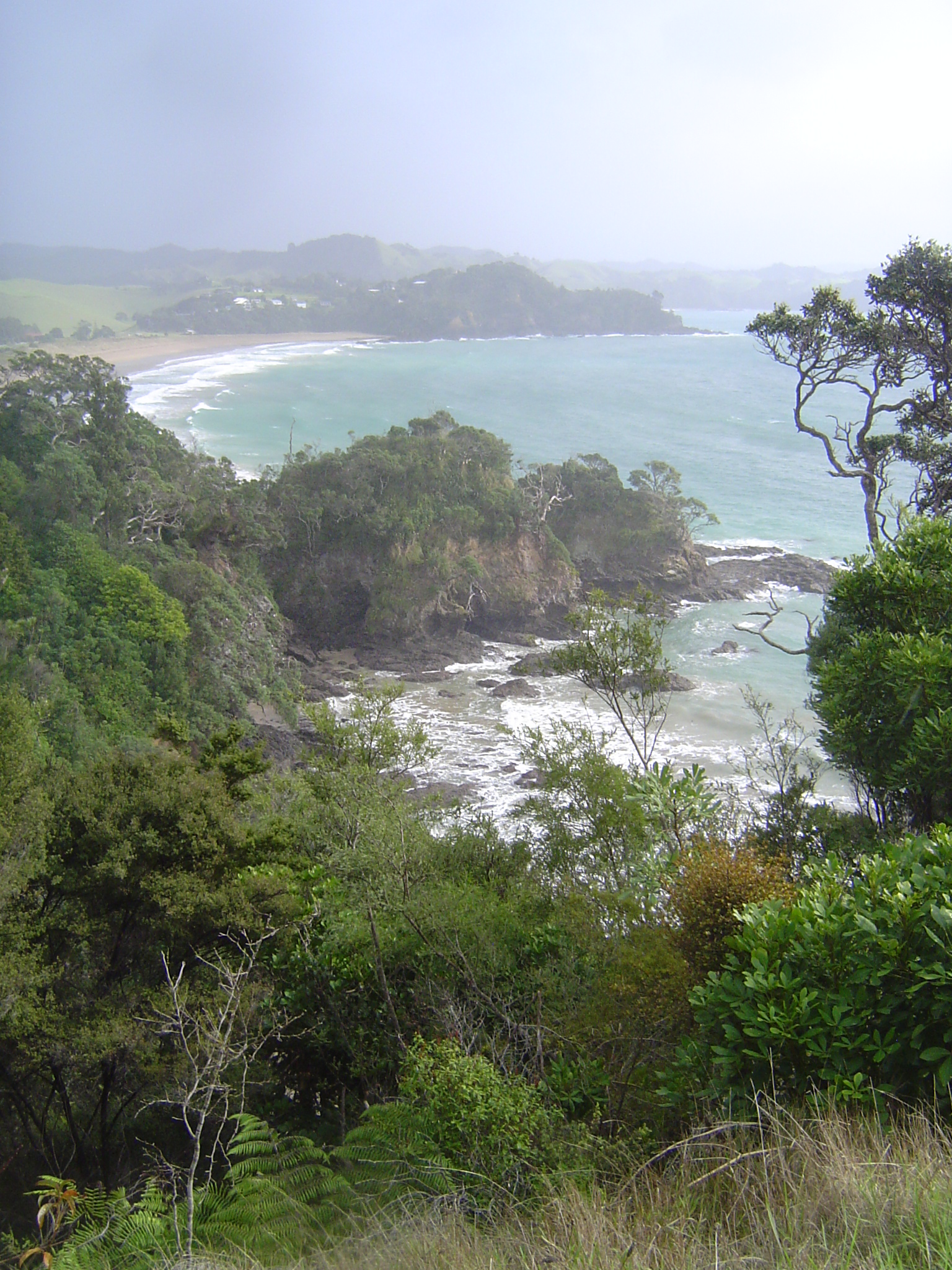 The coast—here Whale Bay and Woolleys Bay—is spectacular.