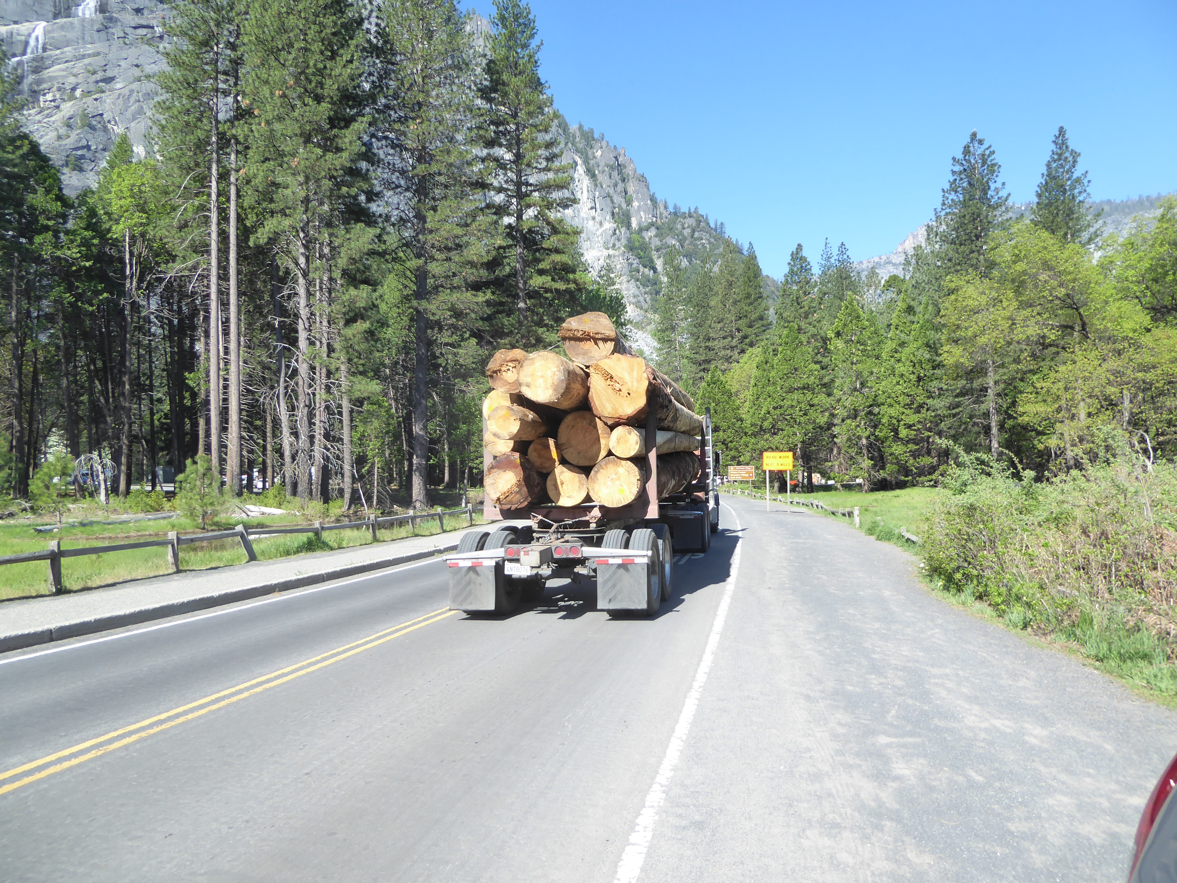 Meanwhile, the dying forest is hauled off to sawmills.