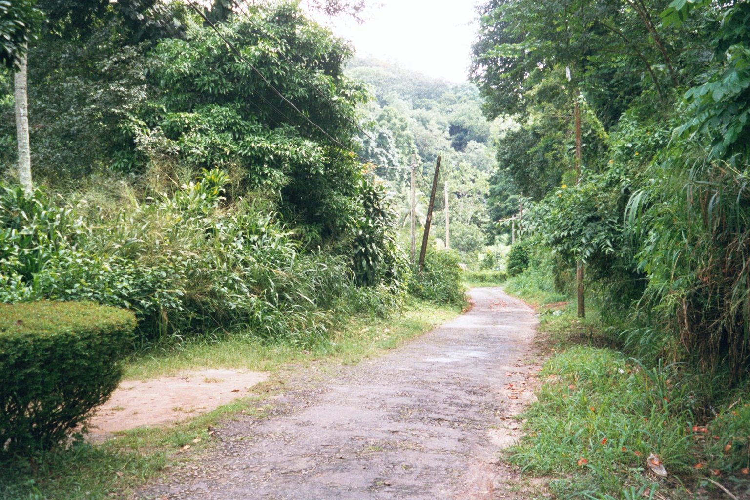The British were very fond of recreational walks and rides, and they built bridal paths in what had been the Udavattekale, the "land above t