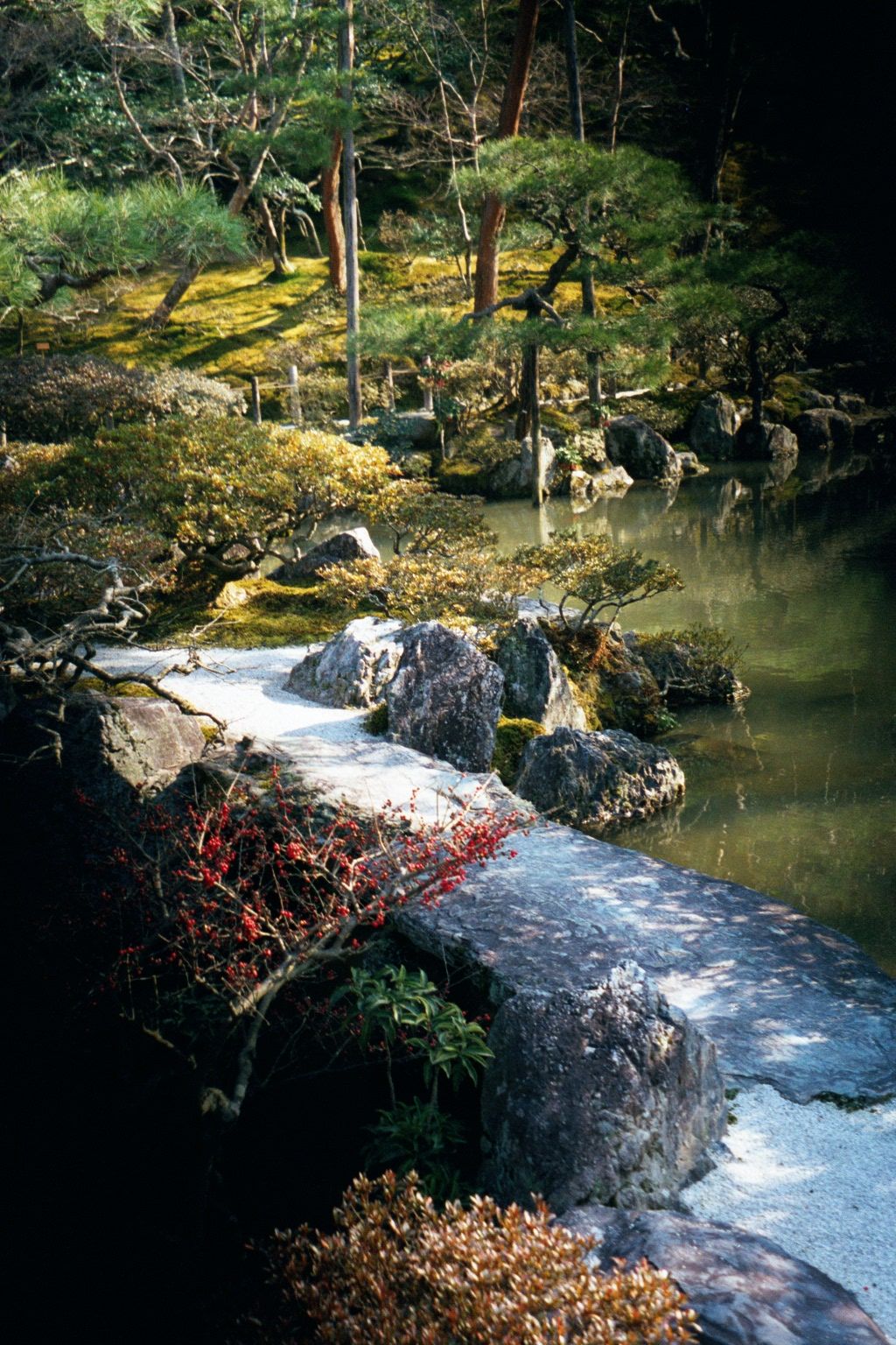 Walkway around the pond.