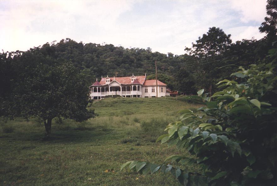 On the hills to the north, coffee and cacao plantations were ultimately destroyed by economics and disease. Some plantation houses survive.