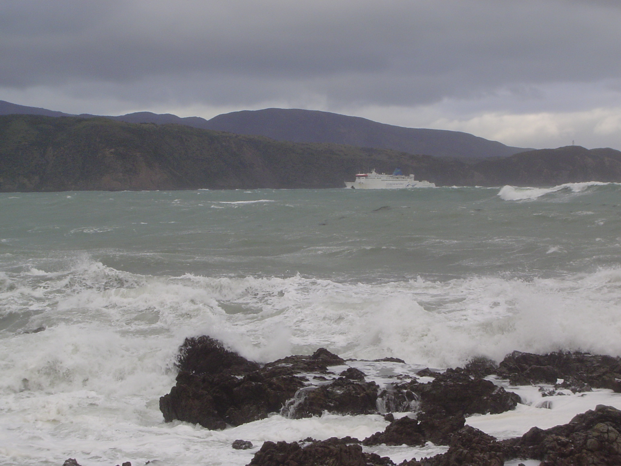 An Interislander ferry enters Wellington Harbor from Picton, 50 miles and 3 hours away on New Zealand's other big island, the South Island.