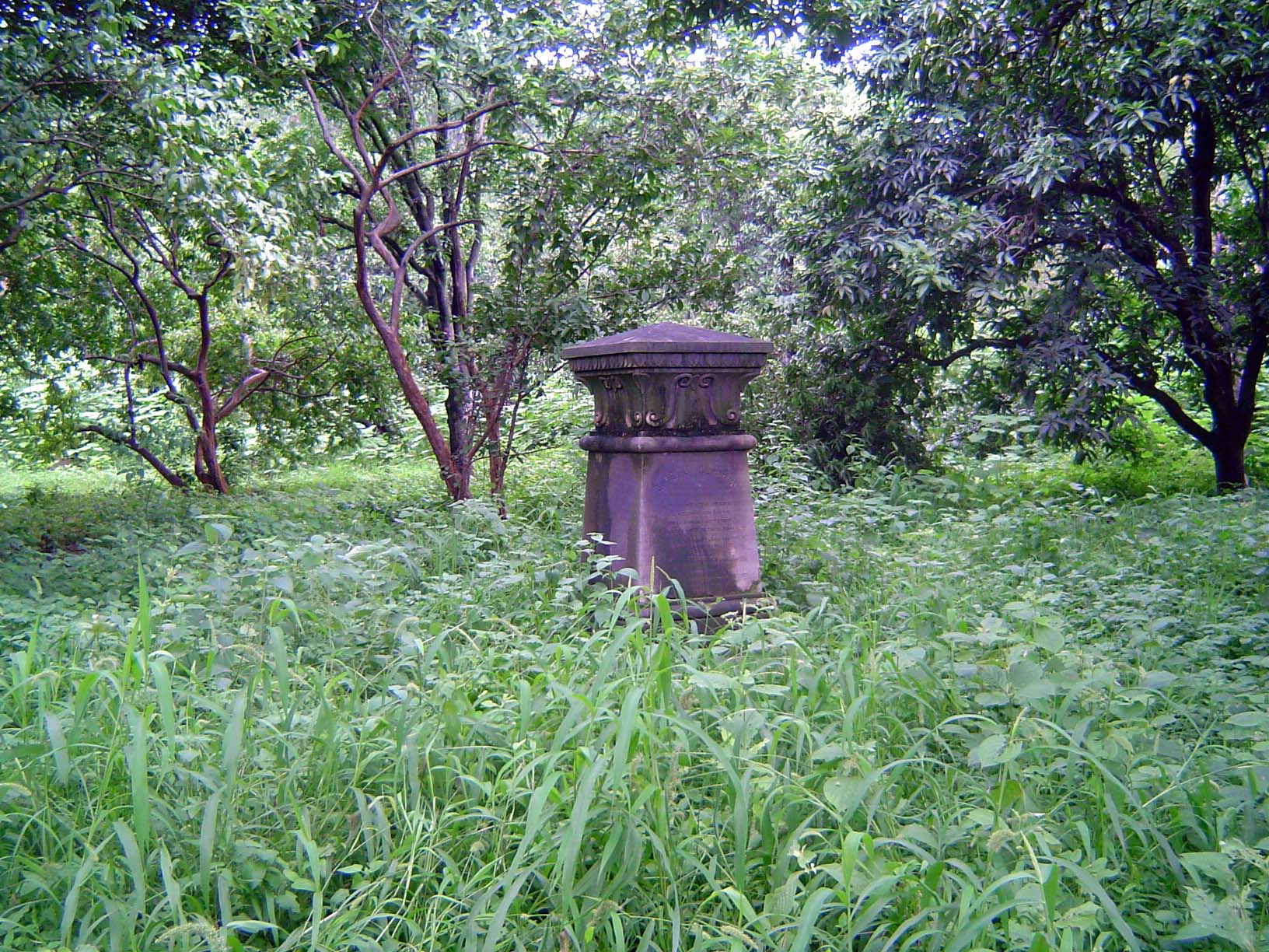 Overgrown.