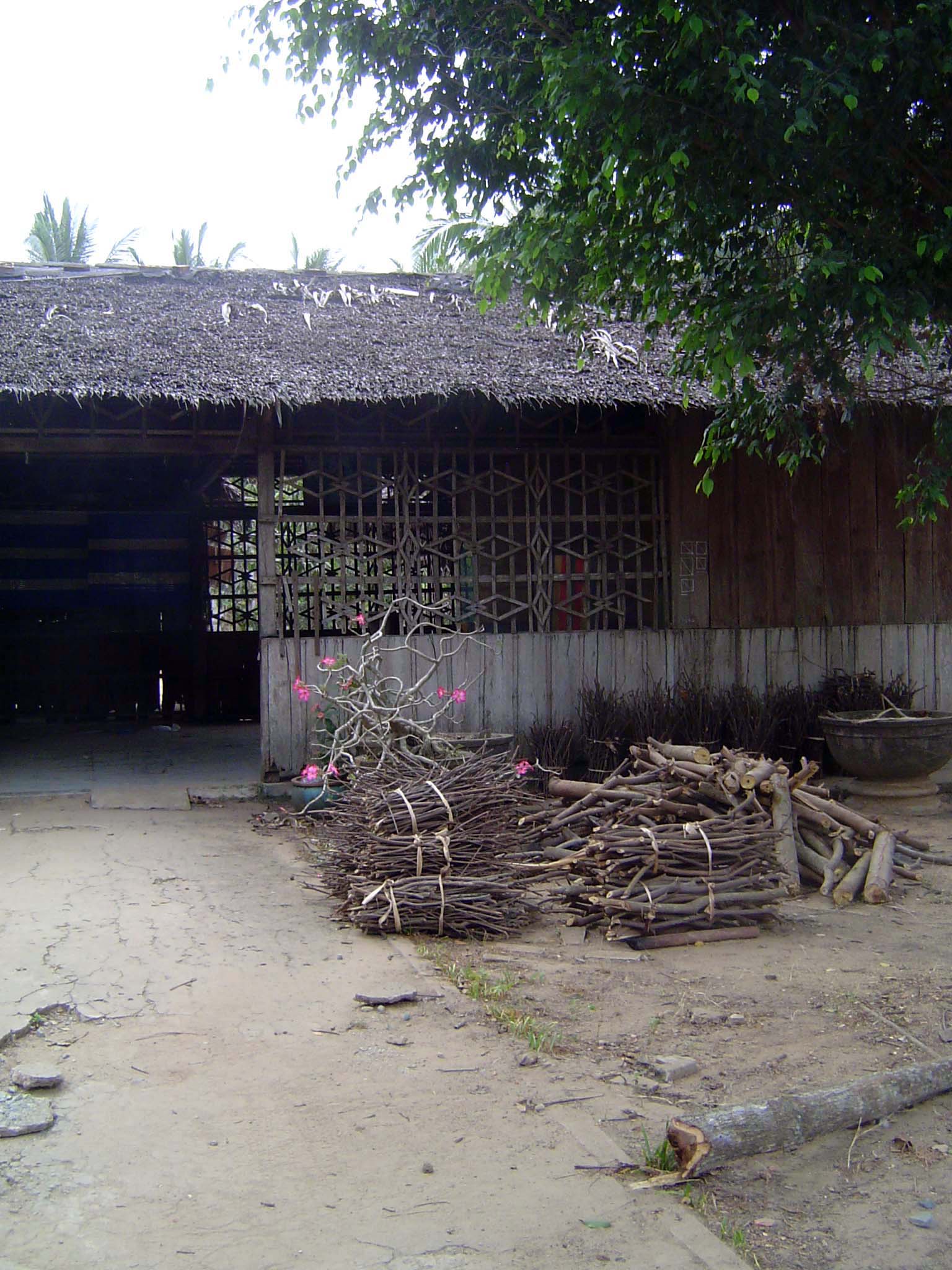 Village life must be nearby.