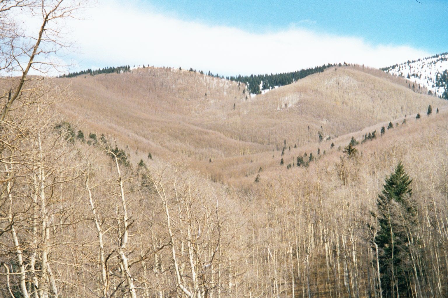 Santa Fe, elevation 7,000 feet, lies at the western base of the Santa Fe Mountains, a southerly extension of the Sangre de Cristos. Set asid