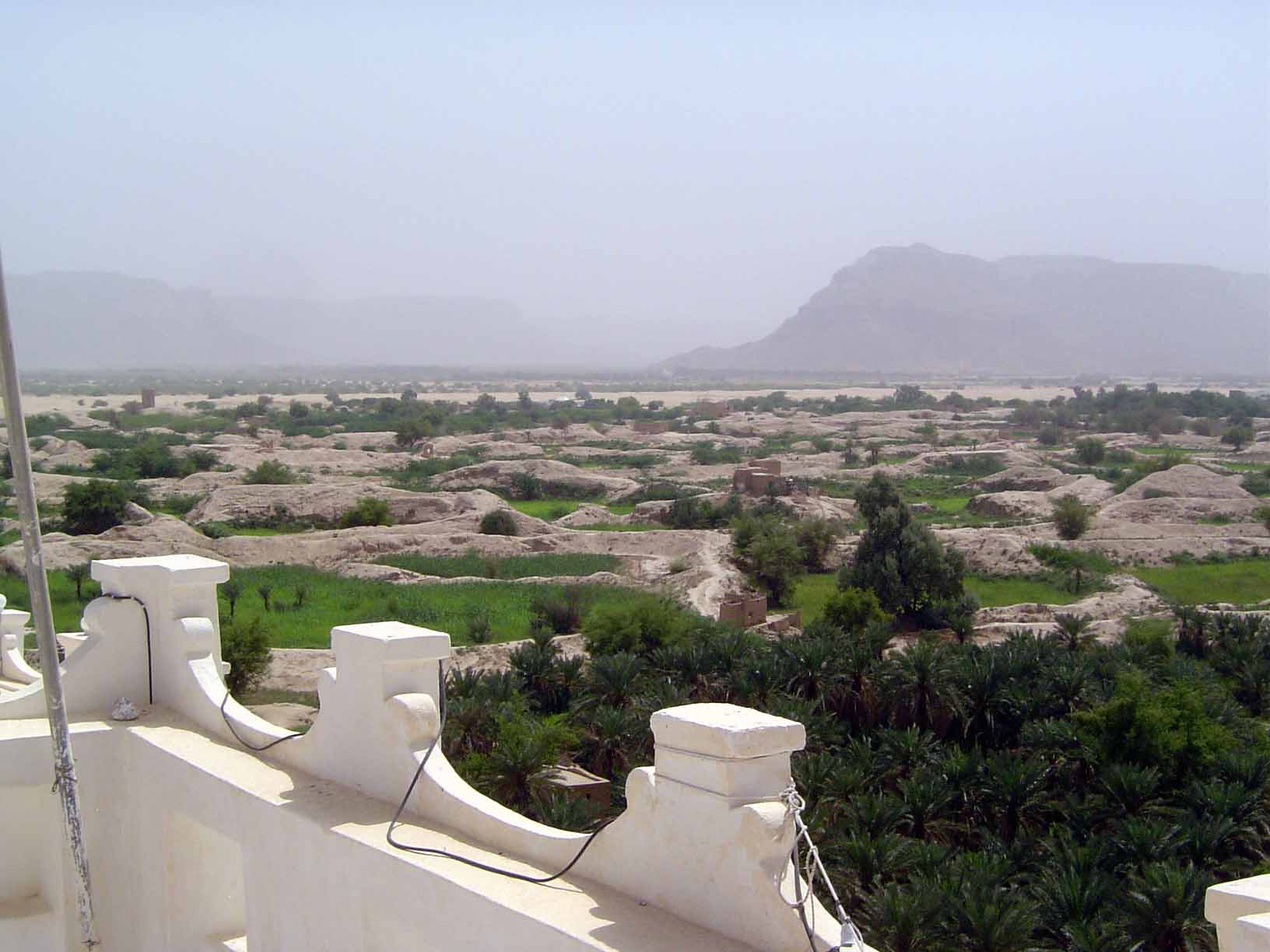 We've climbed up to the top of a building in Shibam to overlook the countryside, where gardens have been enclosed with earth walls.