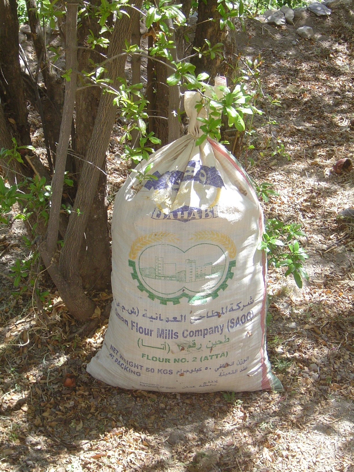 The bags are used to... Well, wait a moment.