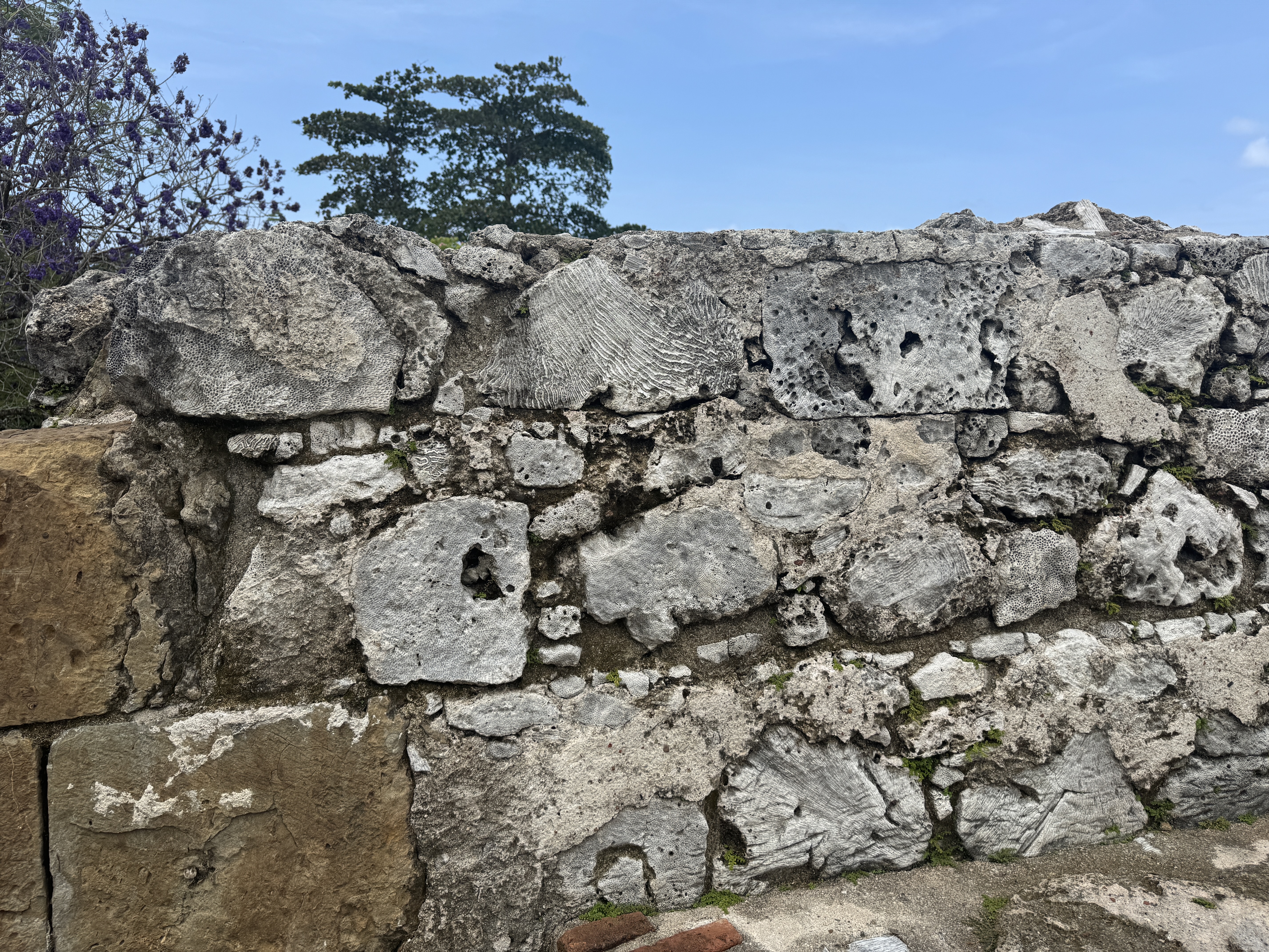 For me, the most interesting detail in the fort is the stone.