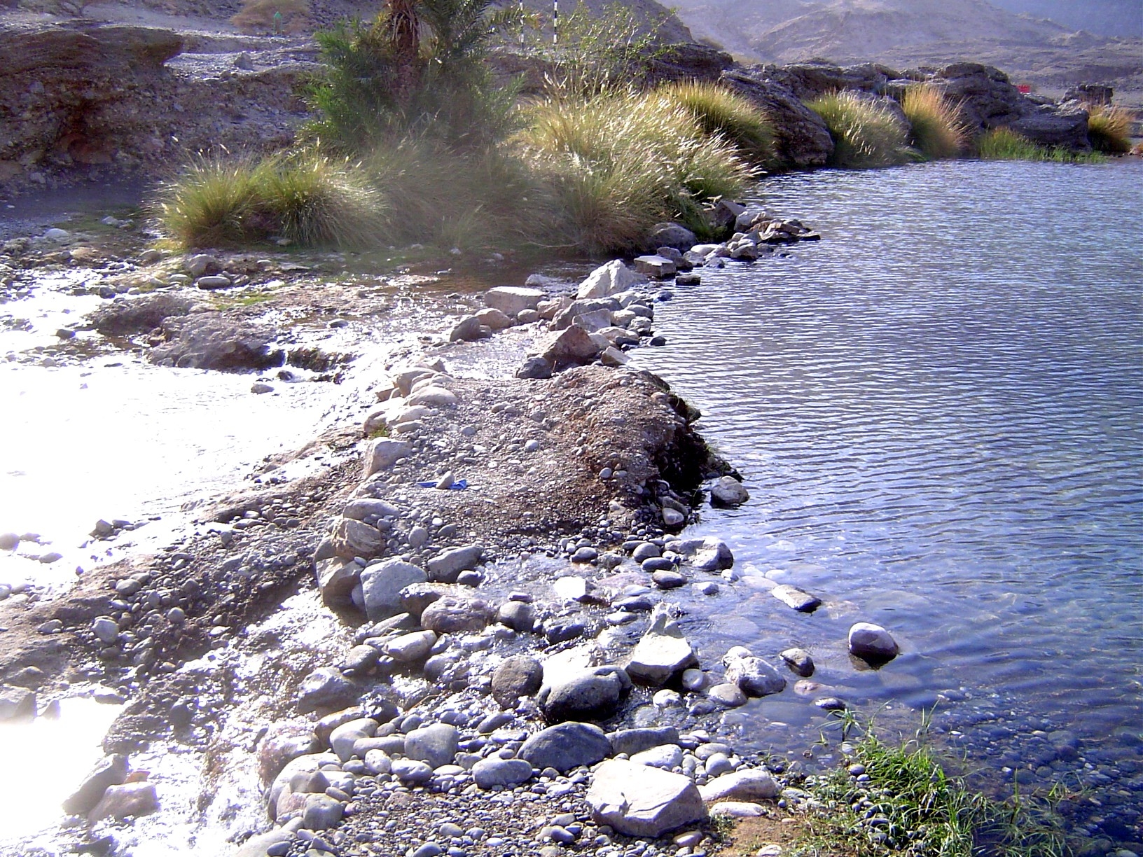 The weir blocks the stream but is leaky enough to allow some water to continue downstream.