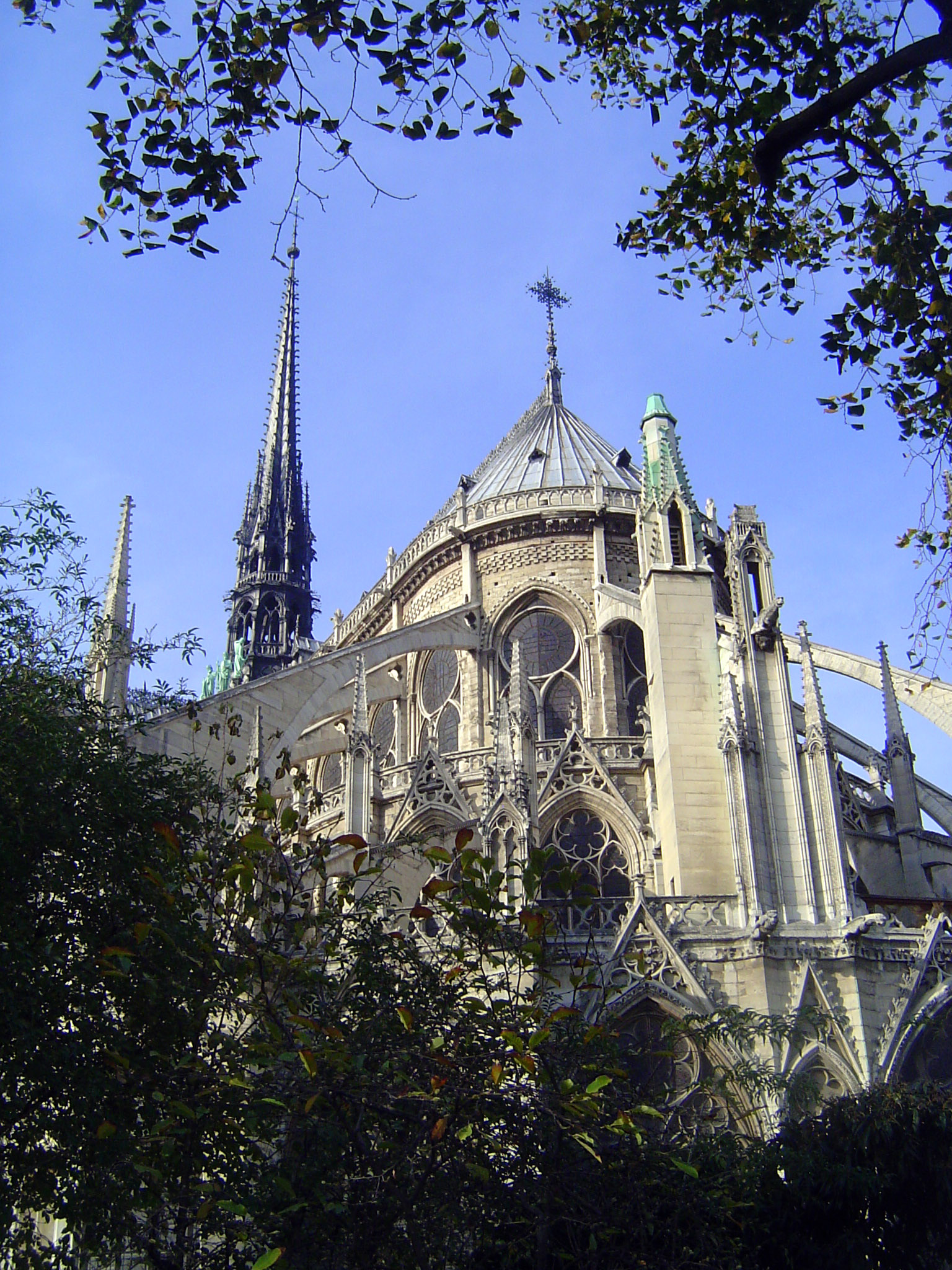 Another view.