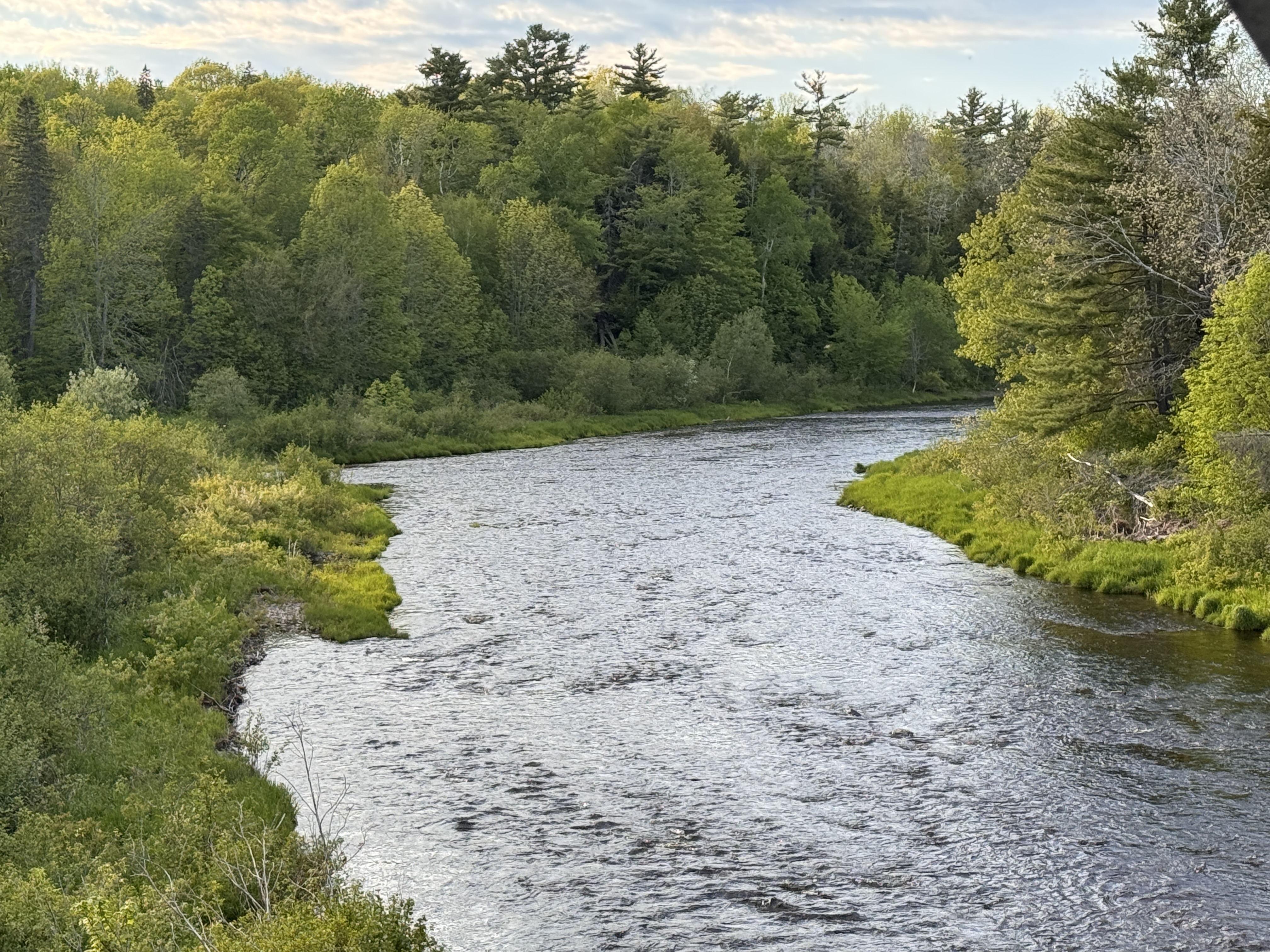 I'm standing on it and looking downstream.  You can sort of see the west branch coming in on the left.   Nice place.