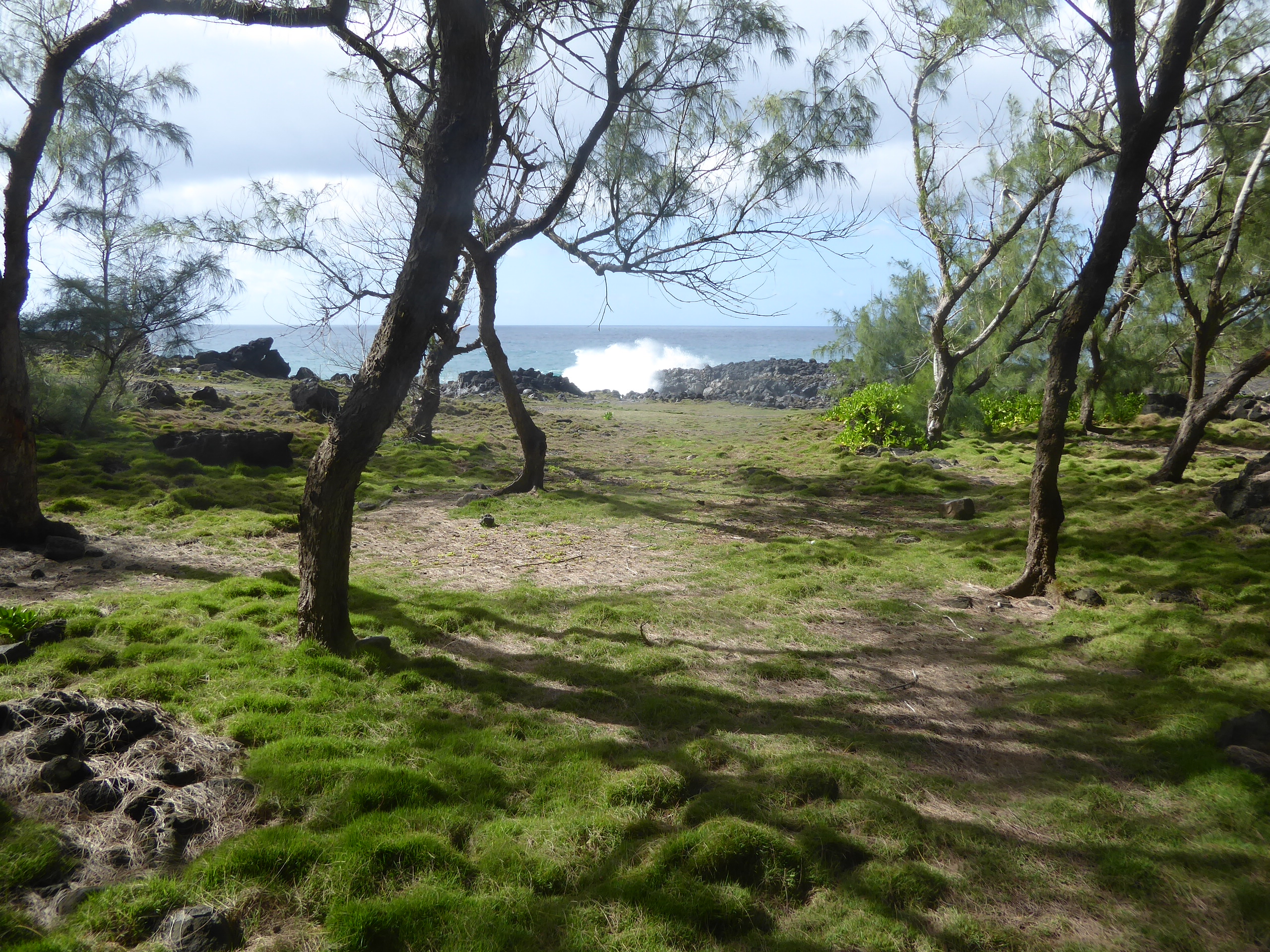 End of the road. See what happens when there's no protective reef?