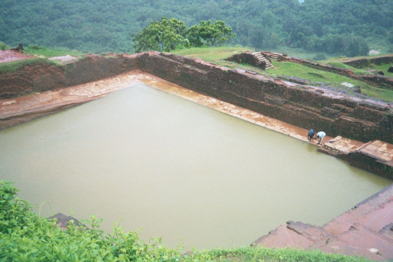A pond is replenished by the rain.