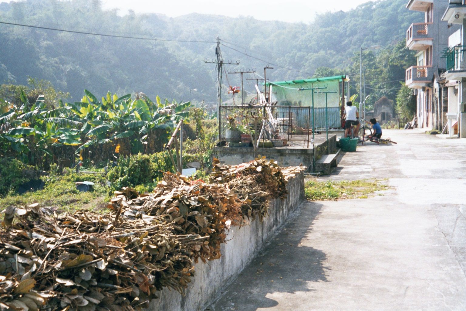 Bananas still grow on the flat land to the left; the paddy fields used to be over the hill in the background.