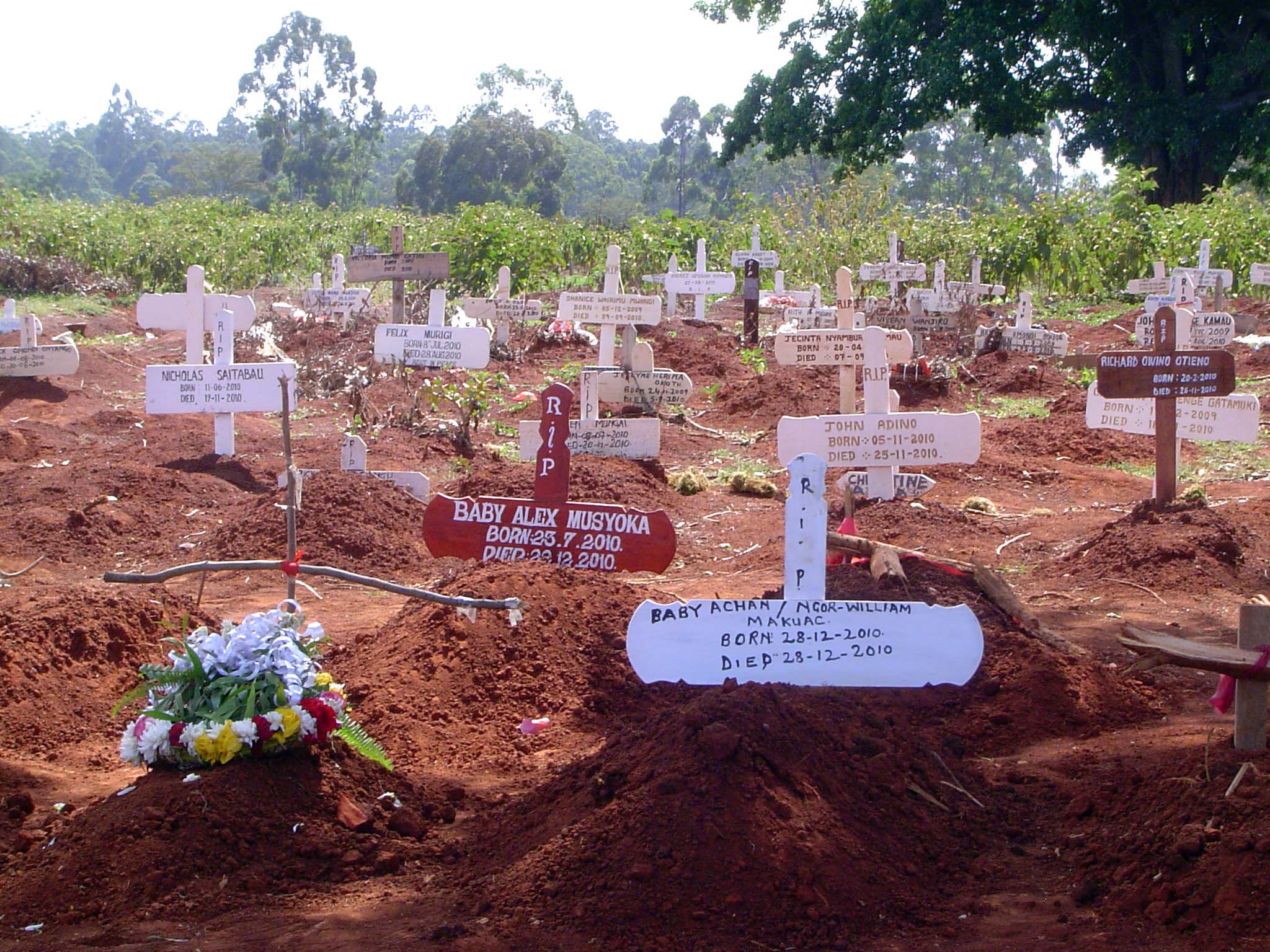 The graves could hardly be fresher.