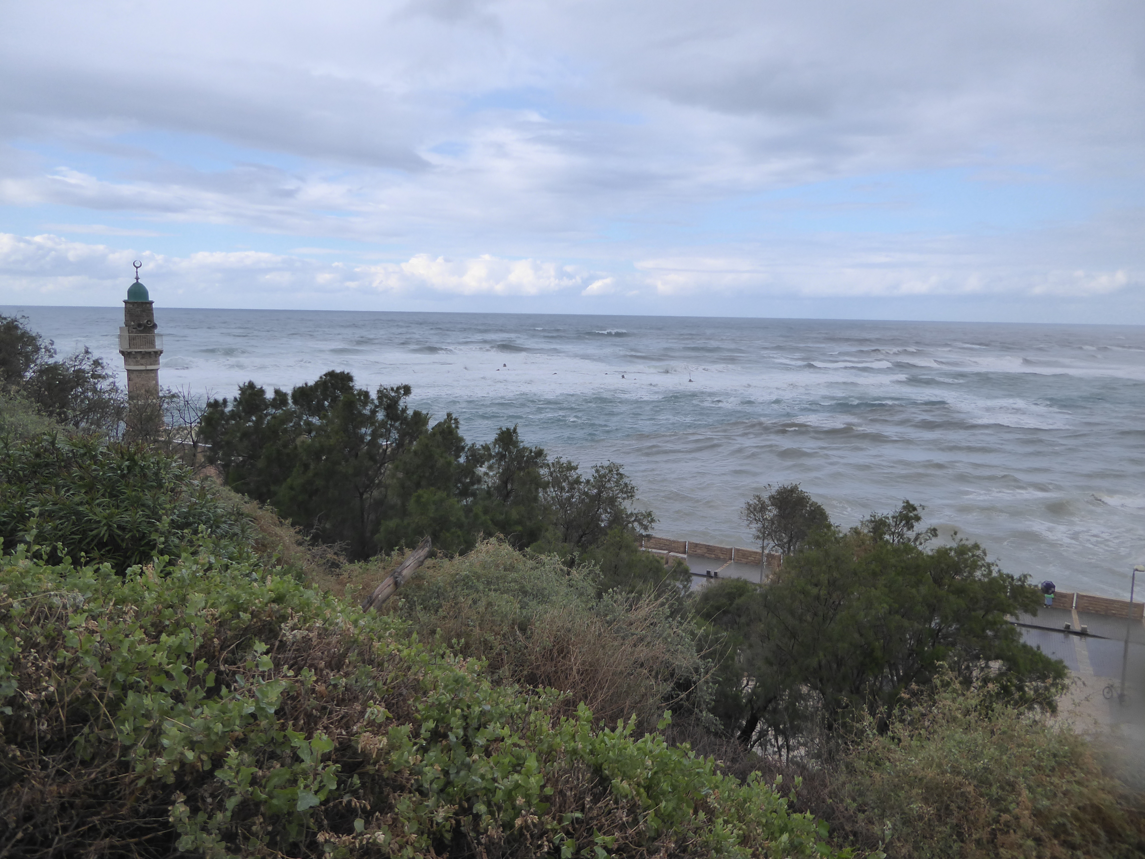 Need a bit of fresh air? We've come back down to Jaffa and the sea.