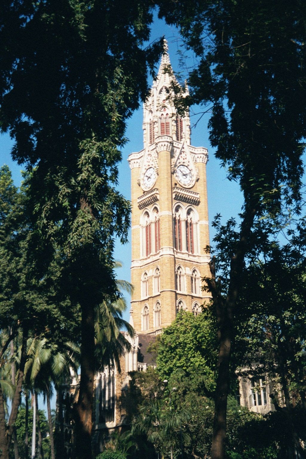 The same, from the campus grounds.