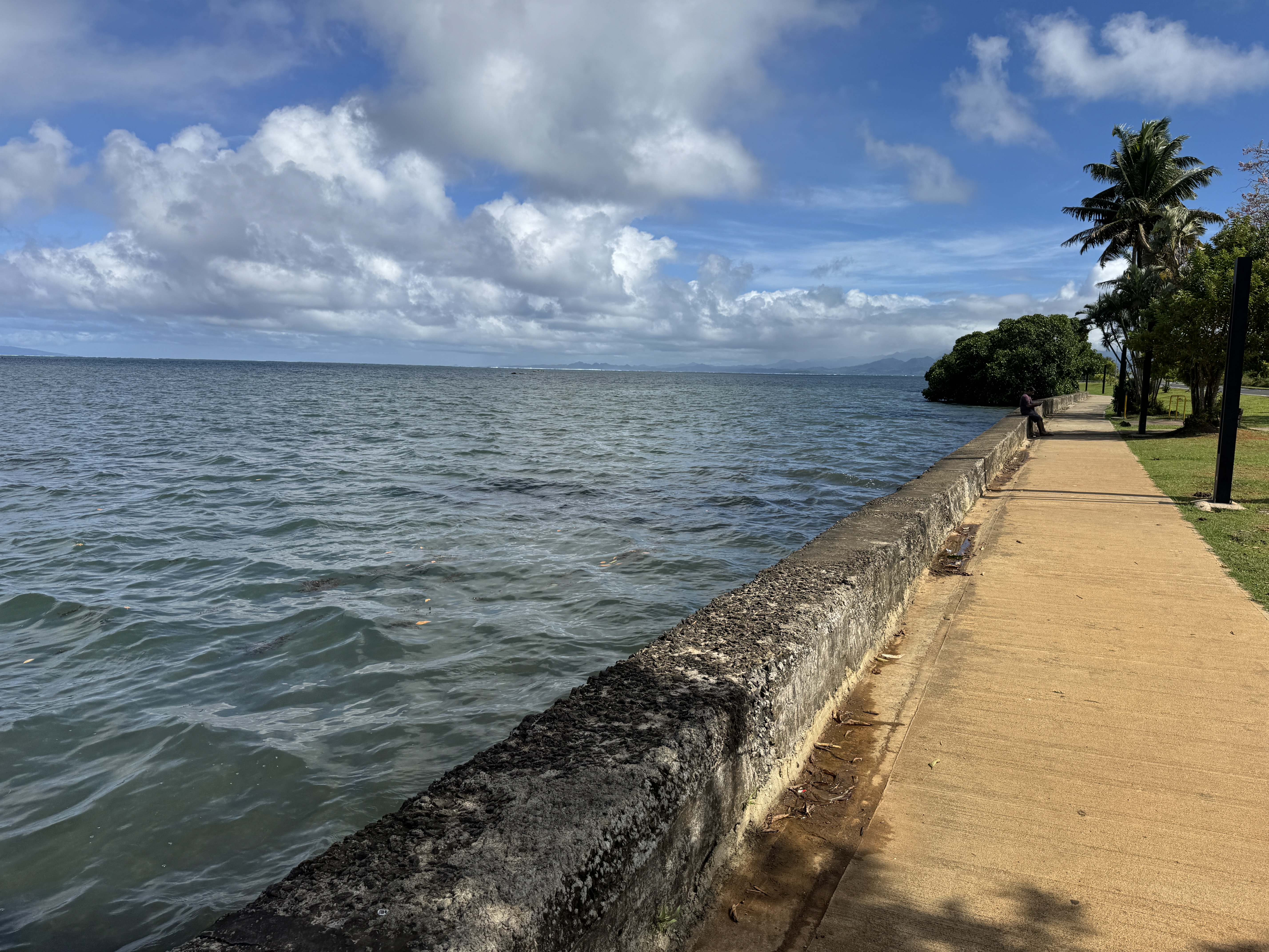 There's not a lot of public green space in Suva, but there's some at Suva Point, a mile south of the center of the city, which lurks behind
